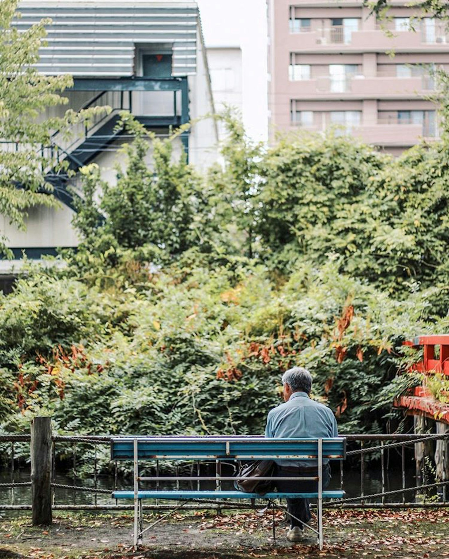 Un hombre sentado en un banco del parque con abundante vegetación al fondo