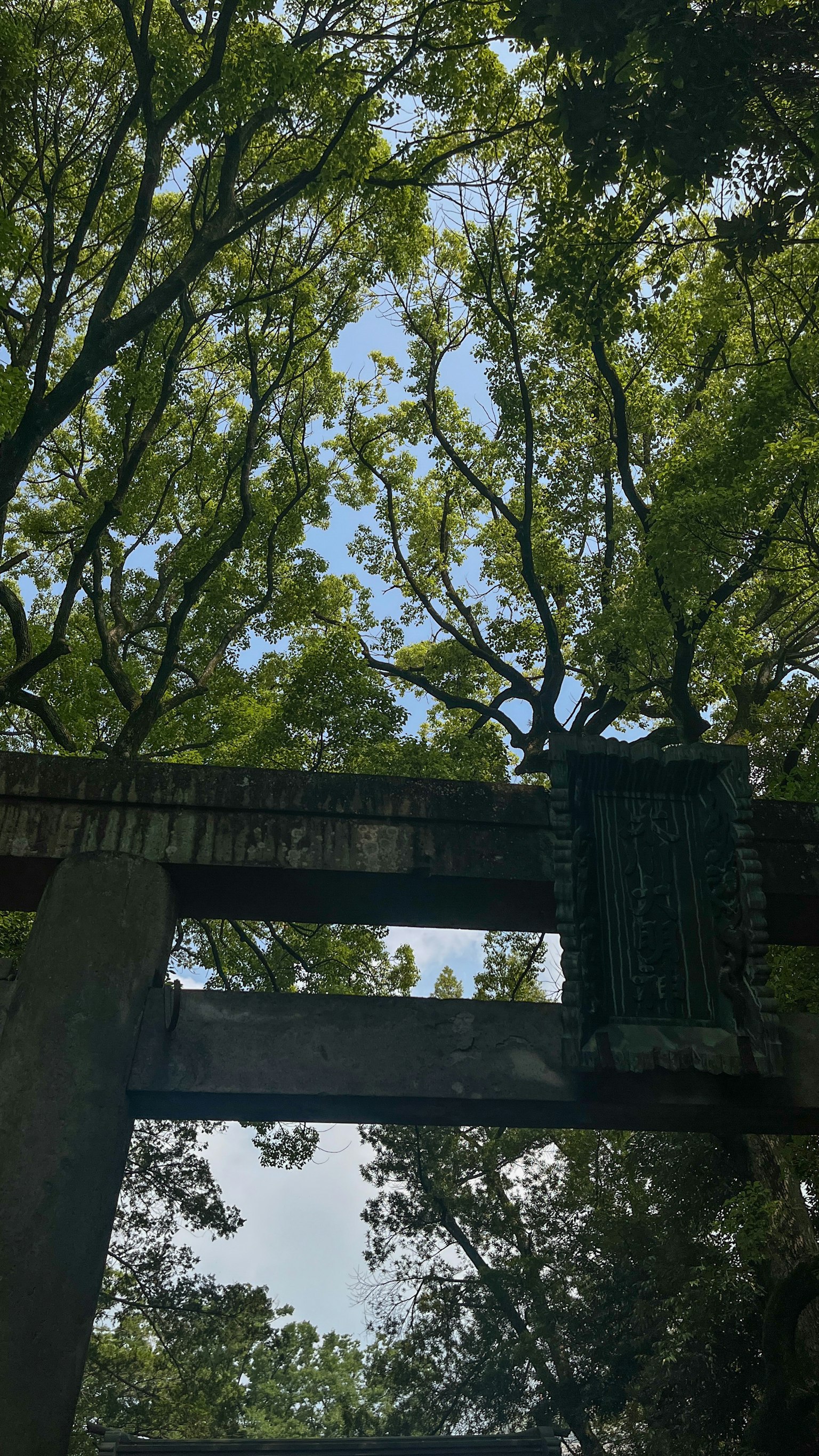 View from beneath a torii gate surrounded by green trees and blue sky