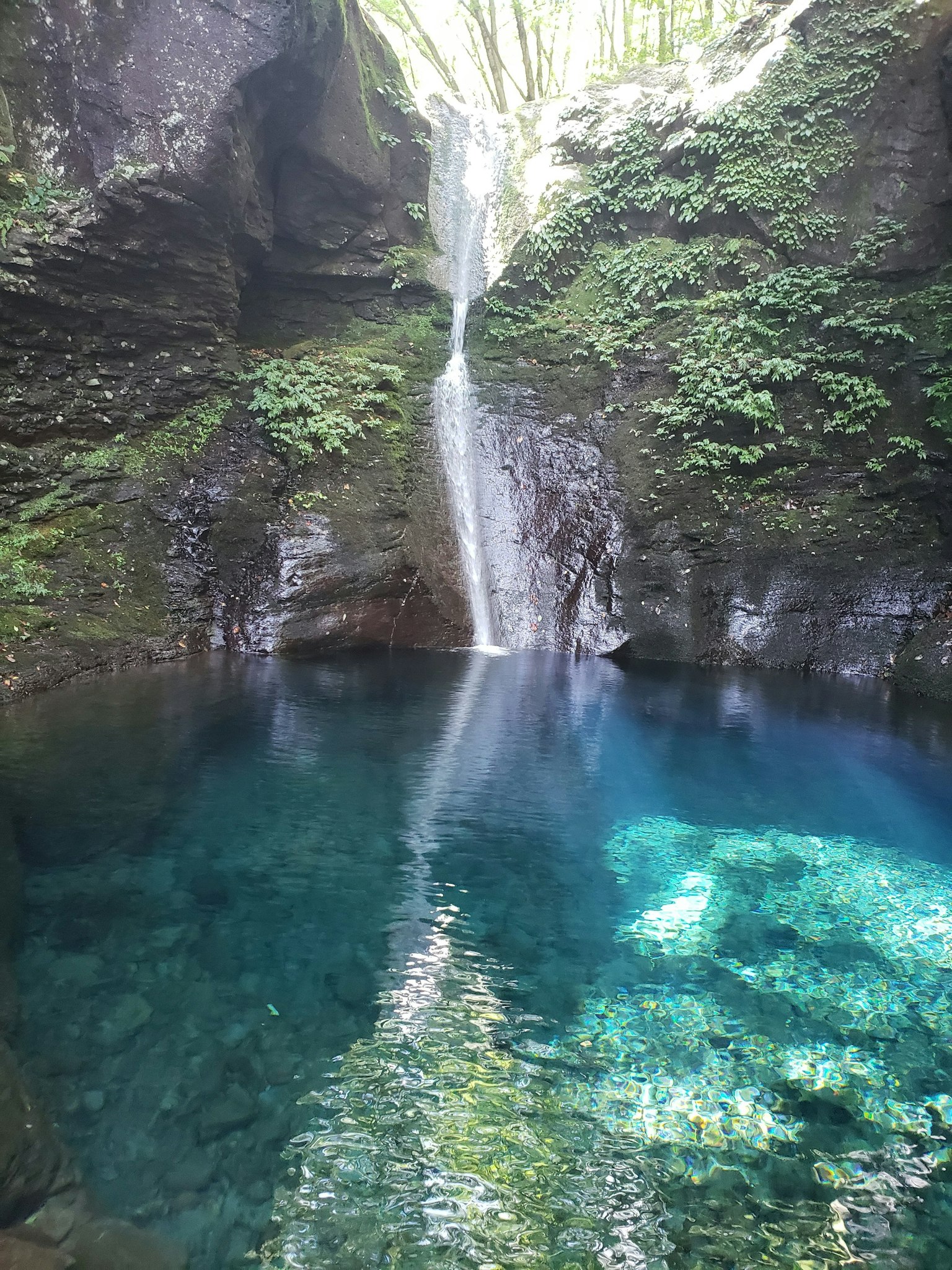 Ein schöner Wasserfall, der von einer grünen Klippe in einen klaren Wasserpool fällt