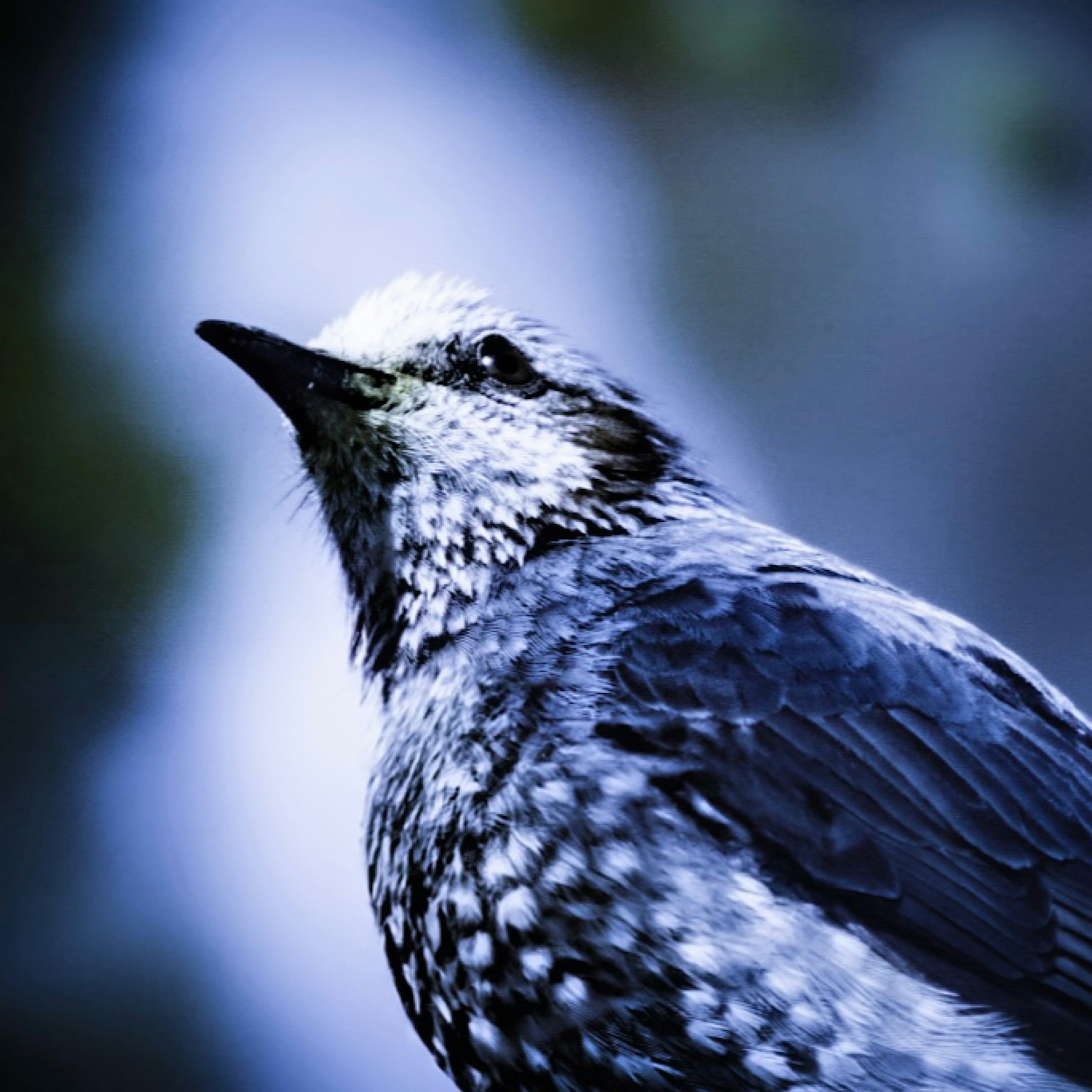 photo-buFO8g7fy1XaFjszem7m-image