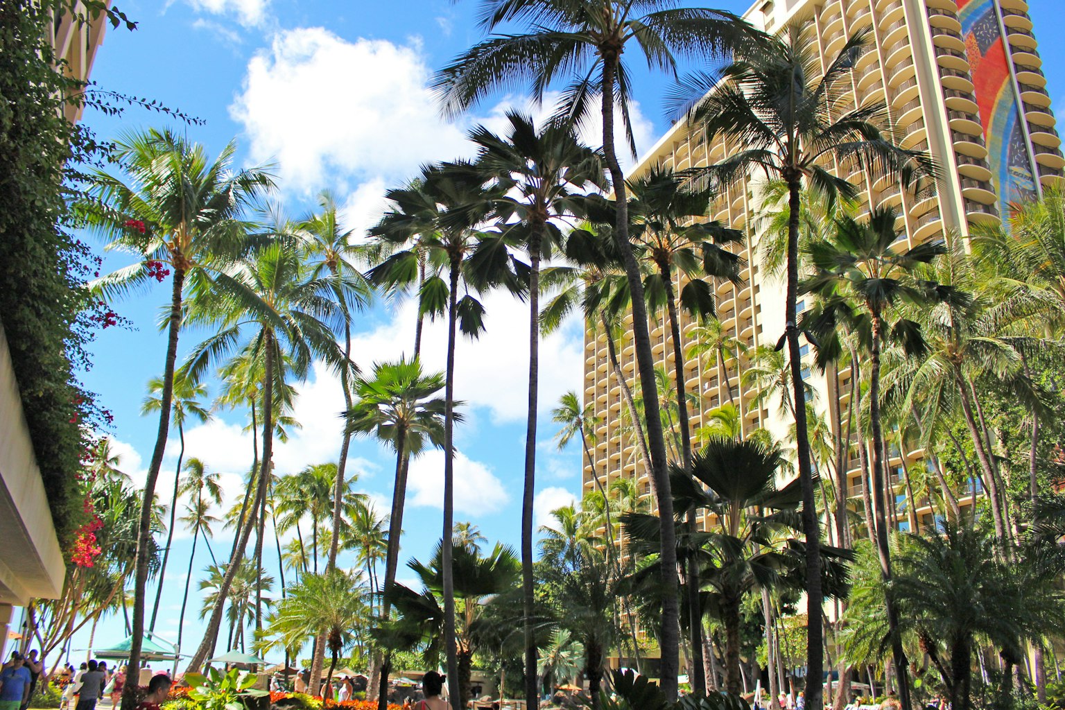 Cảnh biển ở Hawaii với cây cọ và tòa nhà cao tầng