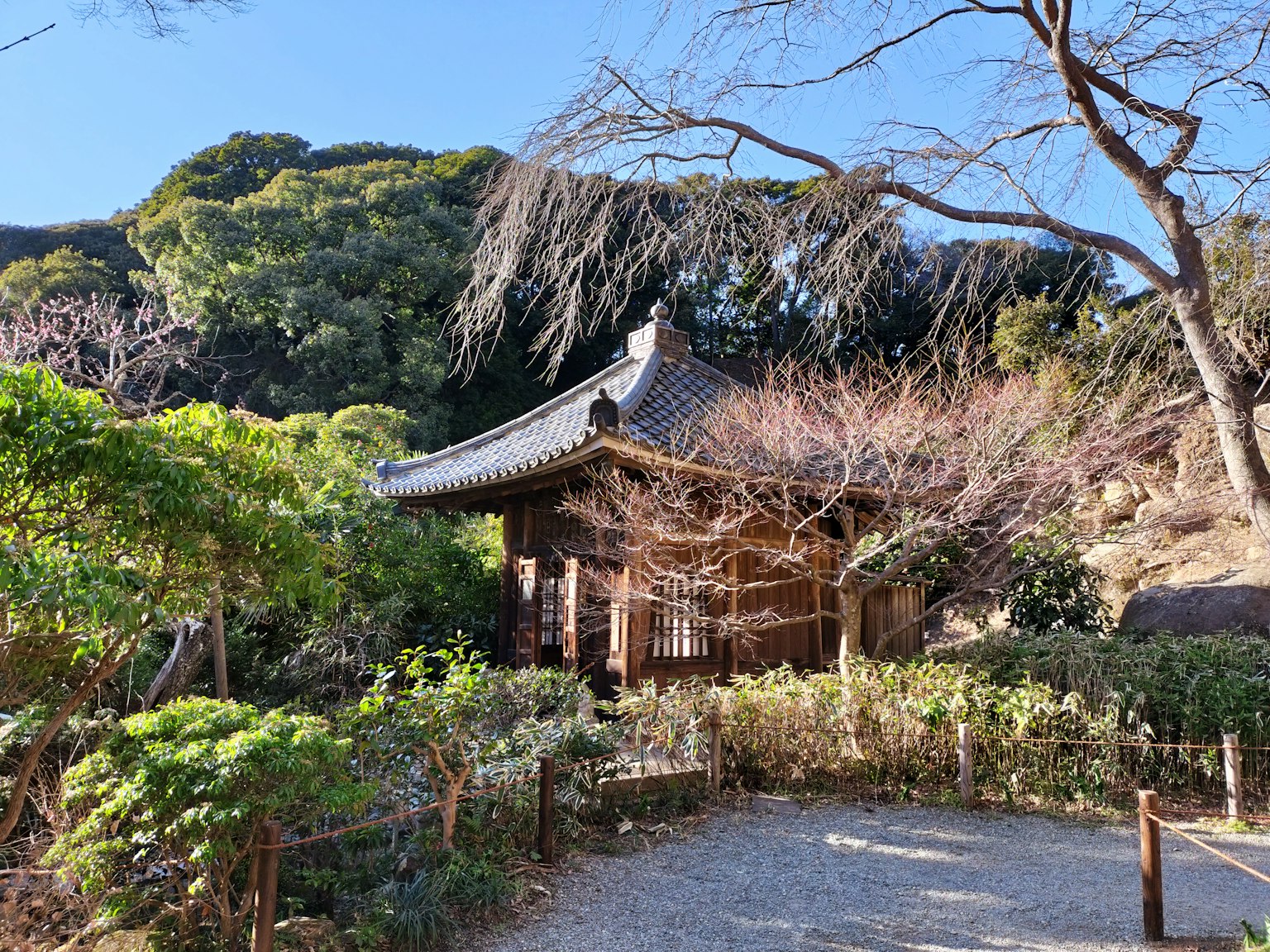 Casa giapponese tradizionale circondata da un bel giardino e alberi