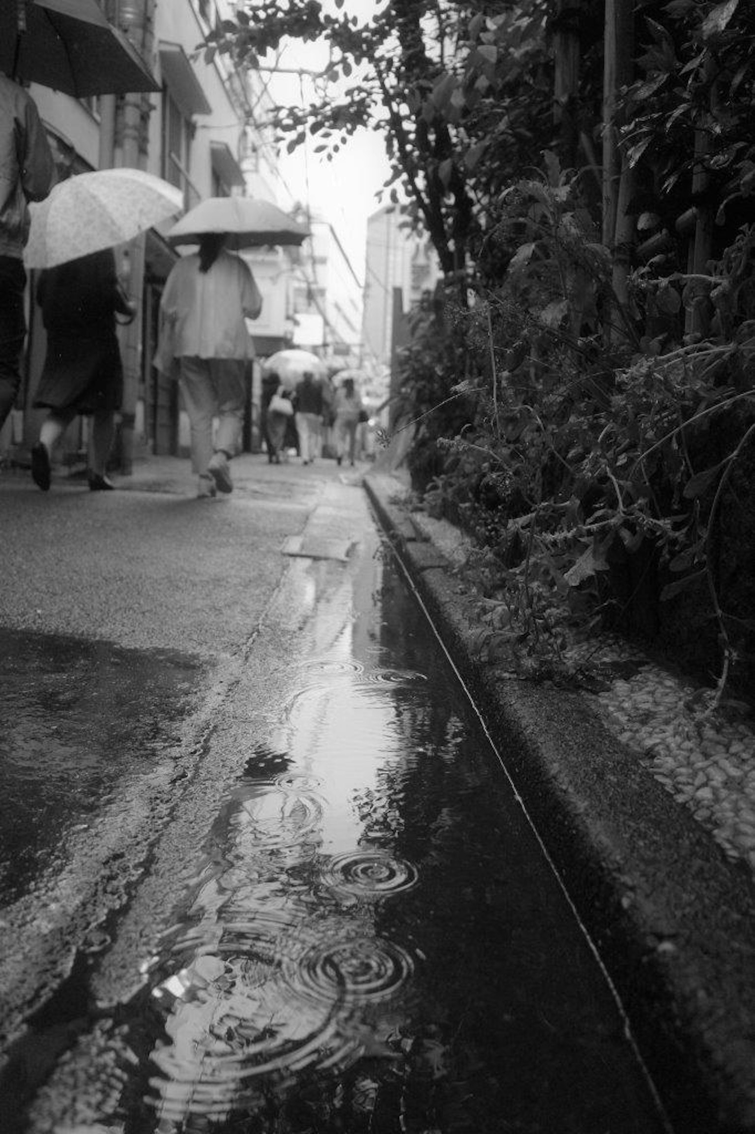 Foto hitam putih jalan sempit dengan orang-orang berjalan di bawah hujan dan genangan air
