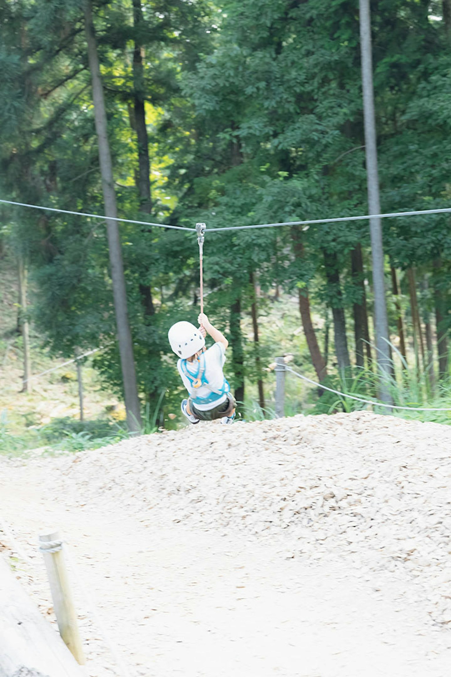 Anak meluncur di zip line di antara pepohonan