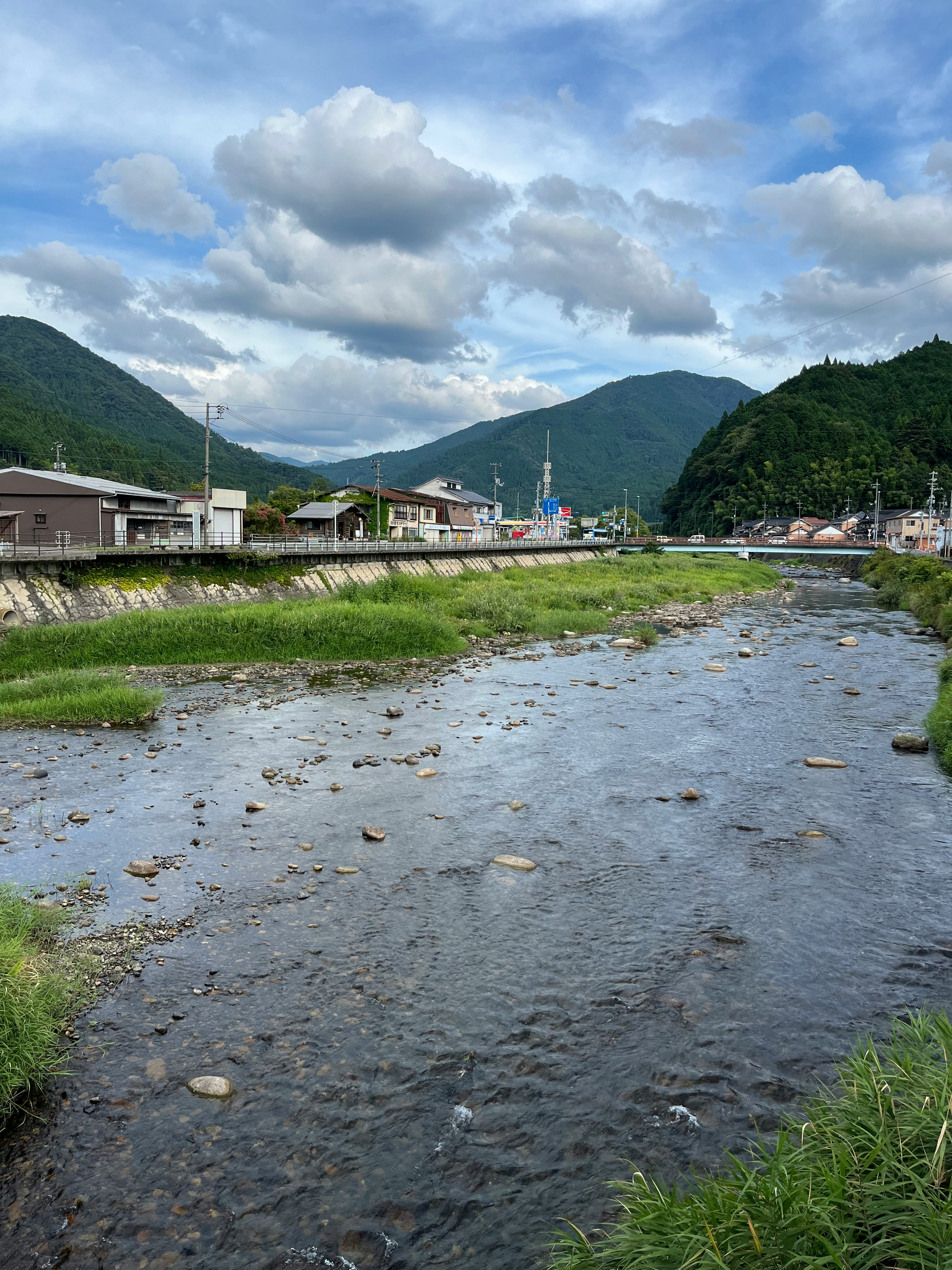 河岸绿意与群山相映的宁静风景