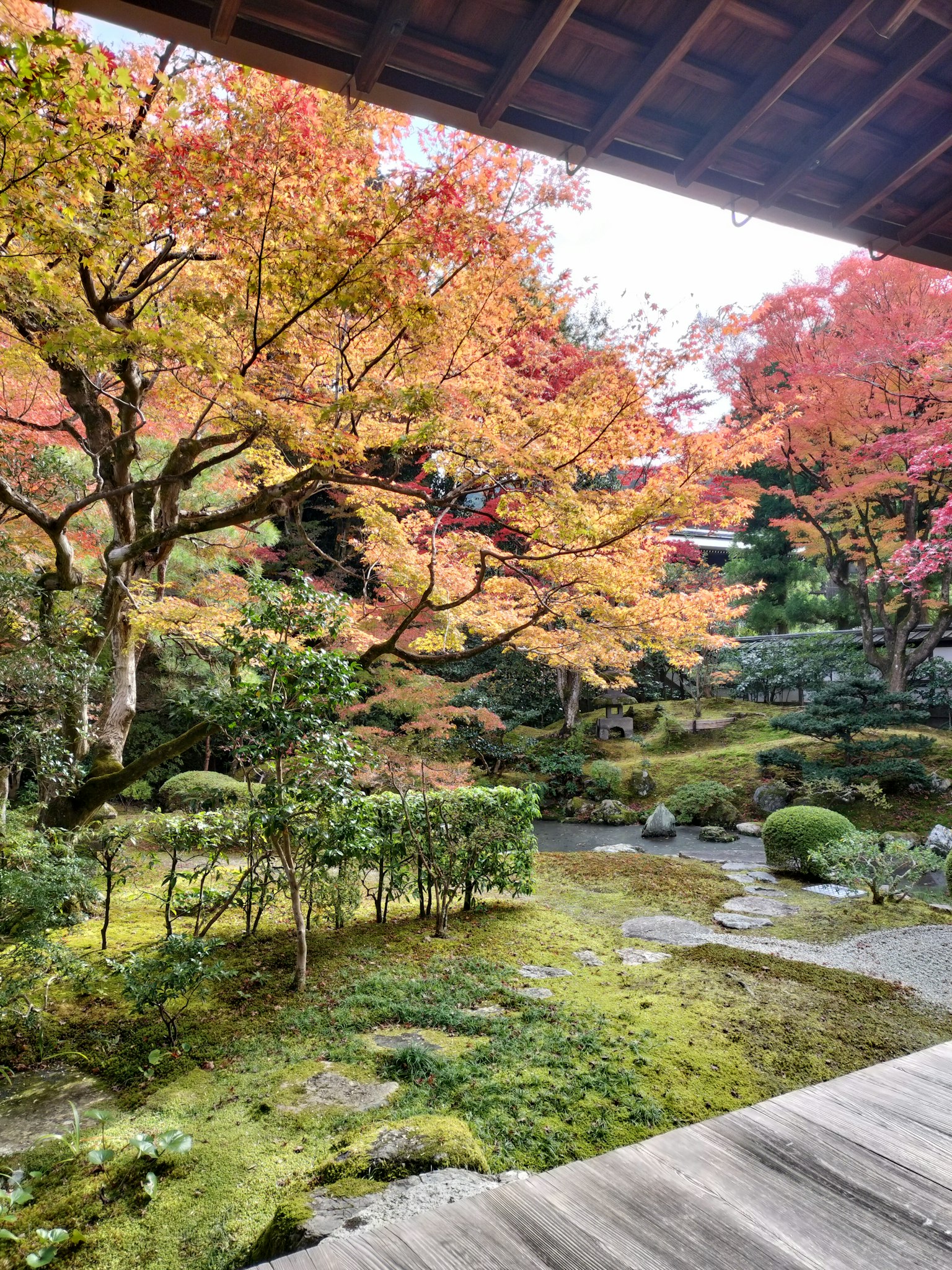 色彩斑斓的秋季日本庭园风景