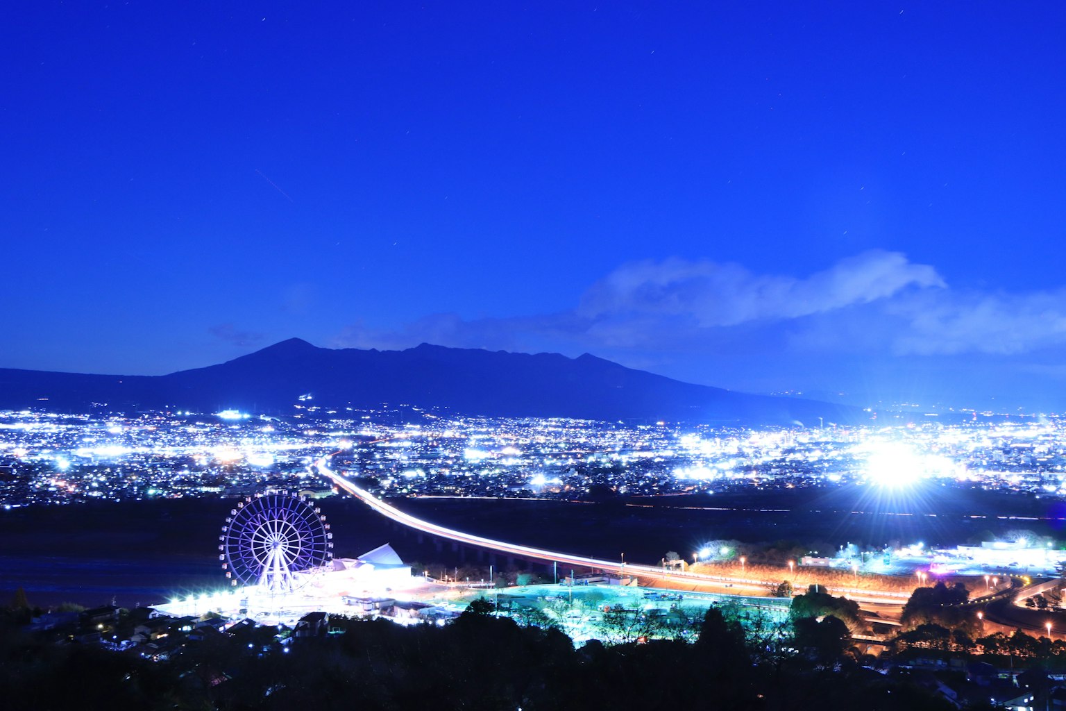 Beautiful night view of a ferris wheel and city lights