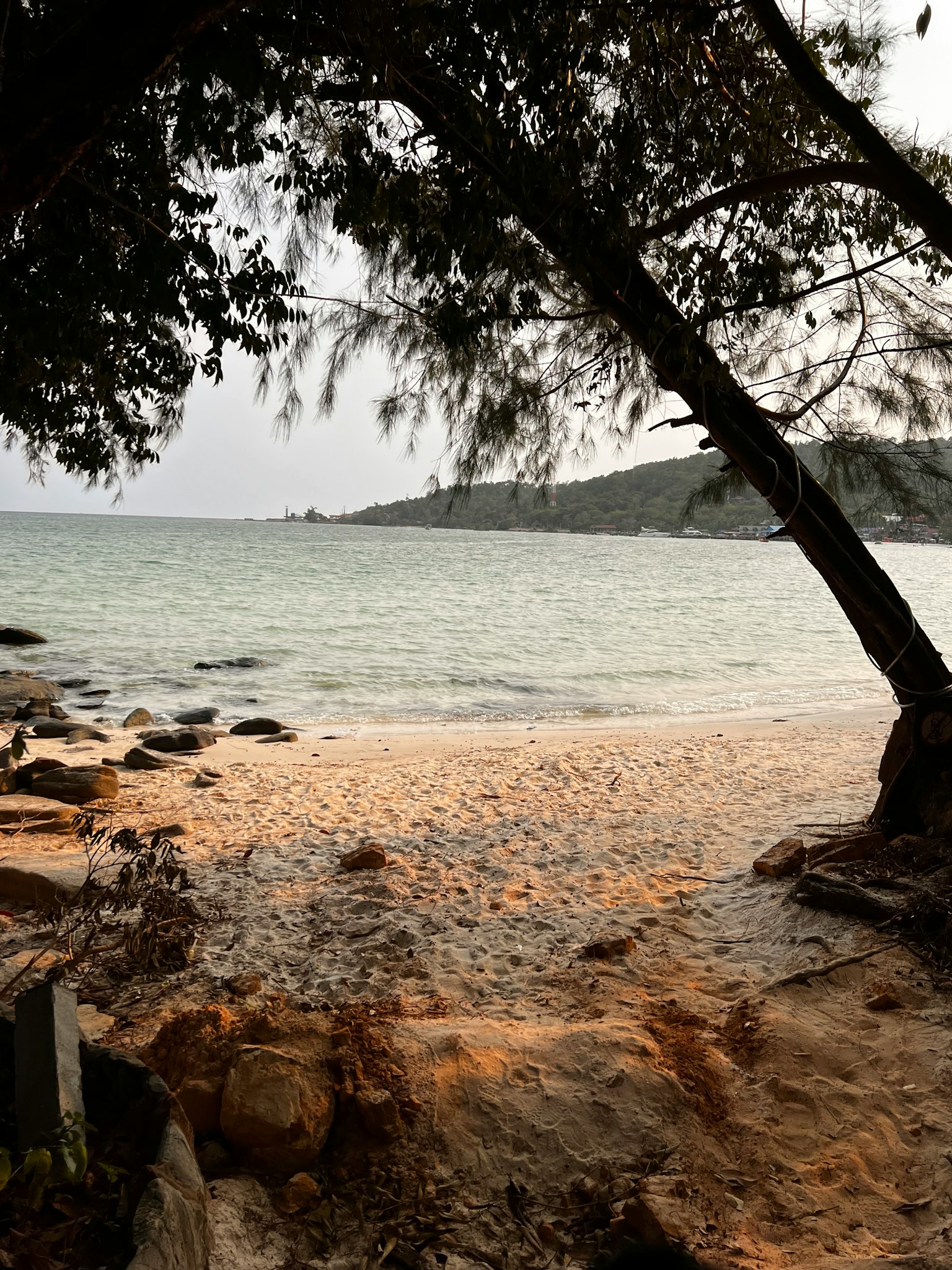 宁静的海滩景观，树木框住沙滩和宁静的水面