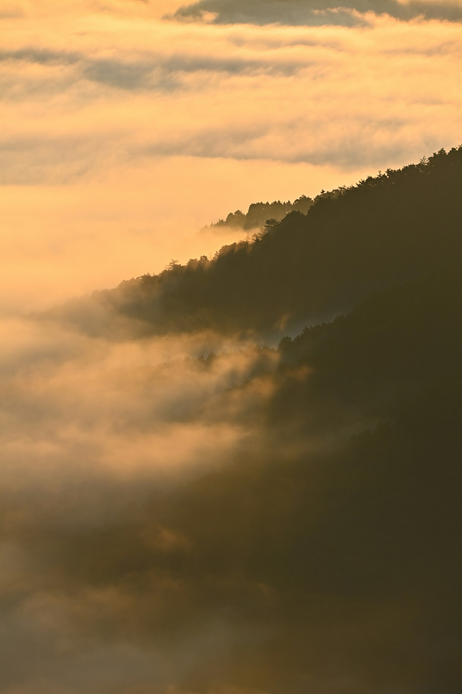 Silhouette of a mountain shrouded in fog with a twilight sky