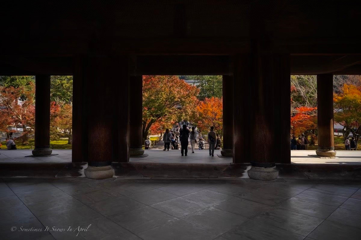 朱色の紅葉並木を望む回廊の石畳