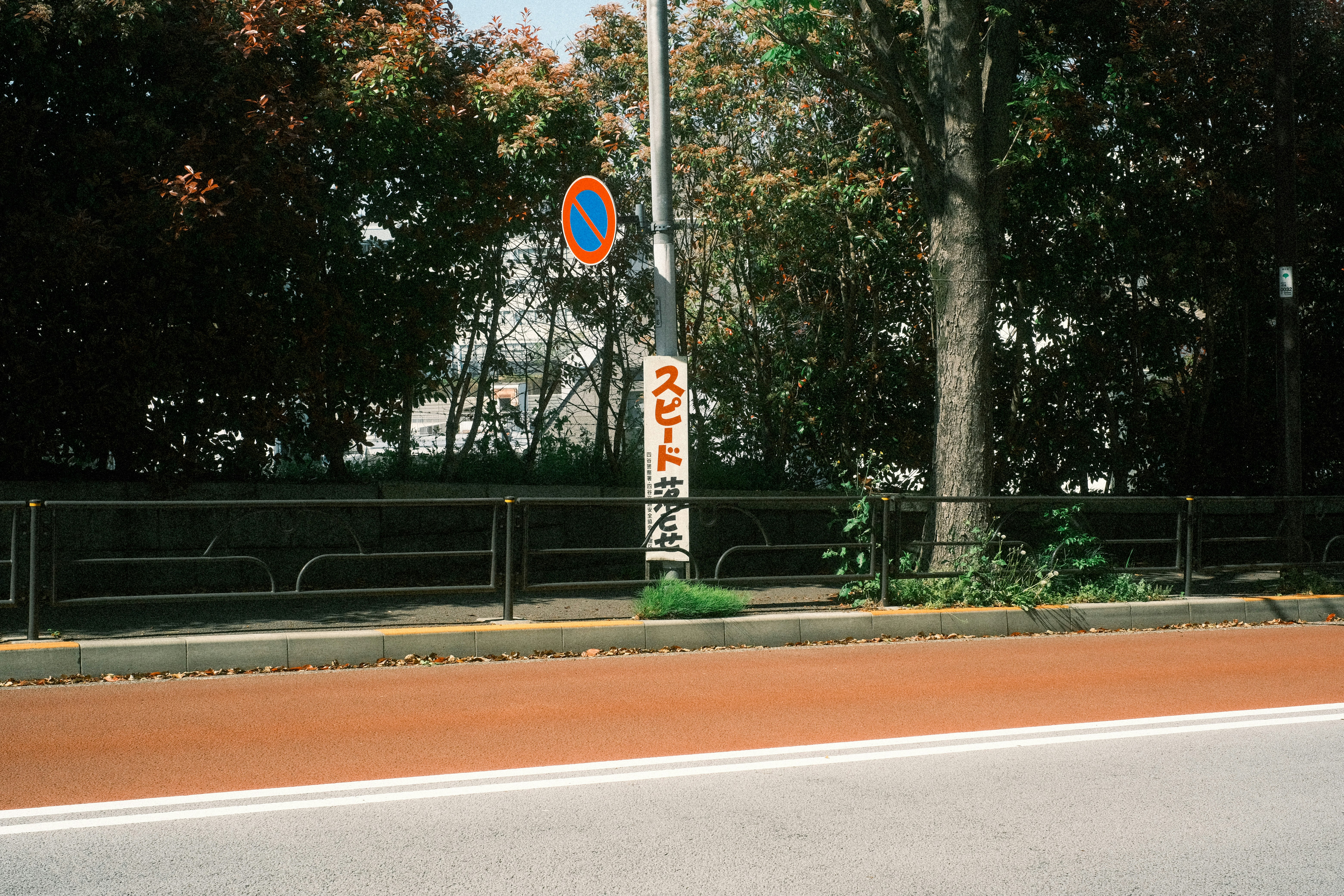 街路樹の並ぶ道路沿いの標識と歩道