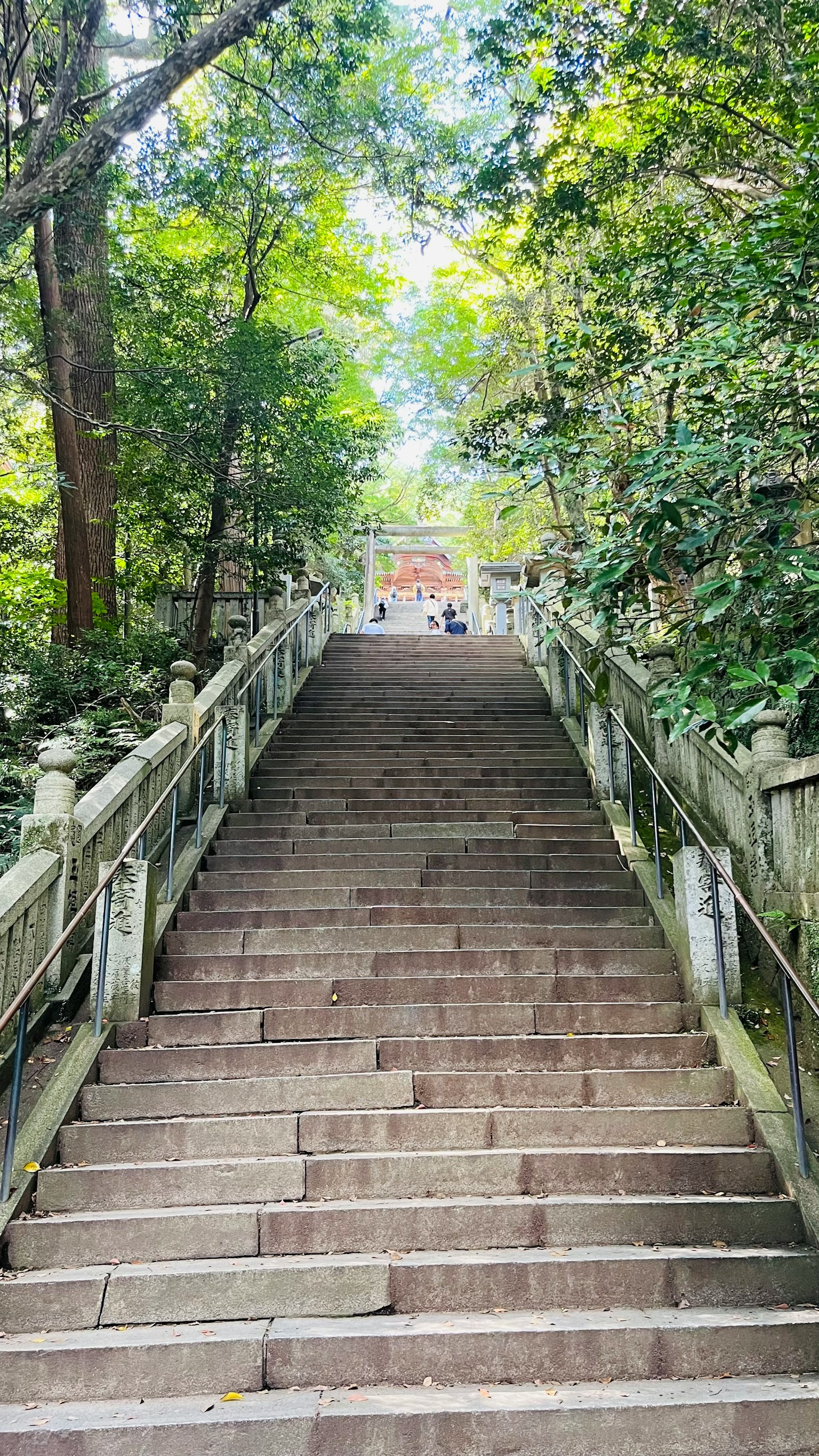 緑に囲まれた階段が続く風景の写真