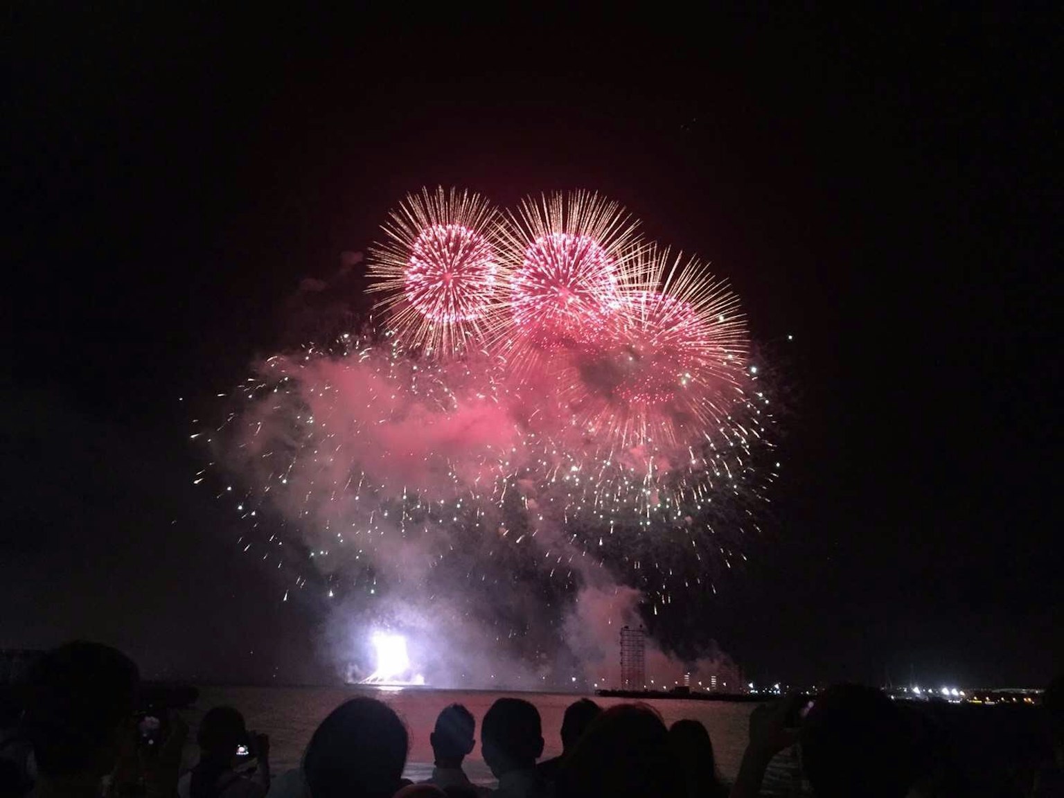 Colorati fuochi d'artificio rosa che esplodono nel cielo notturno