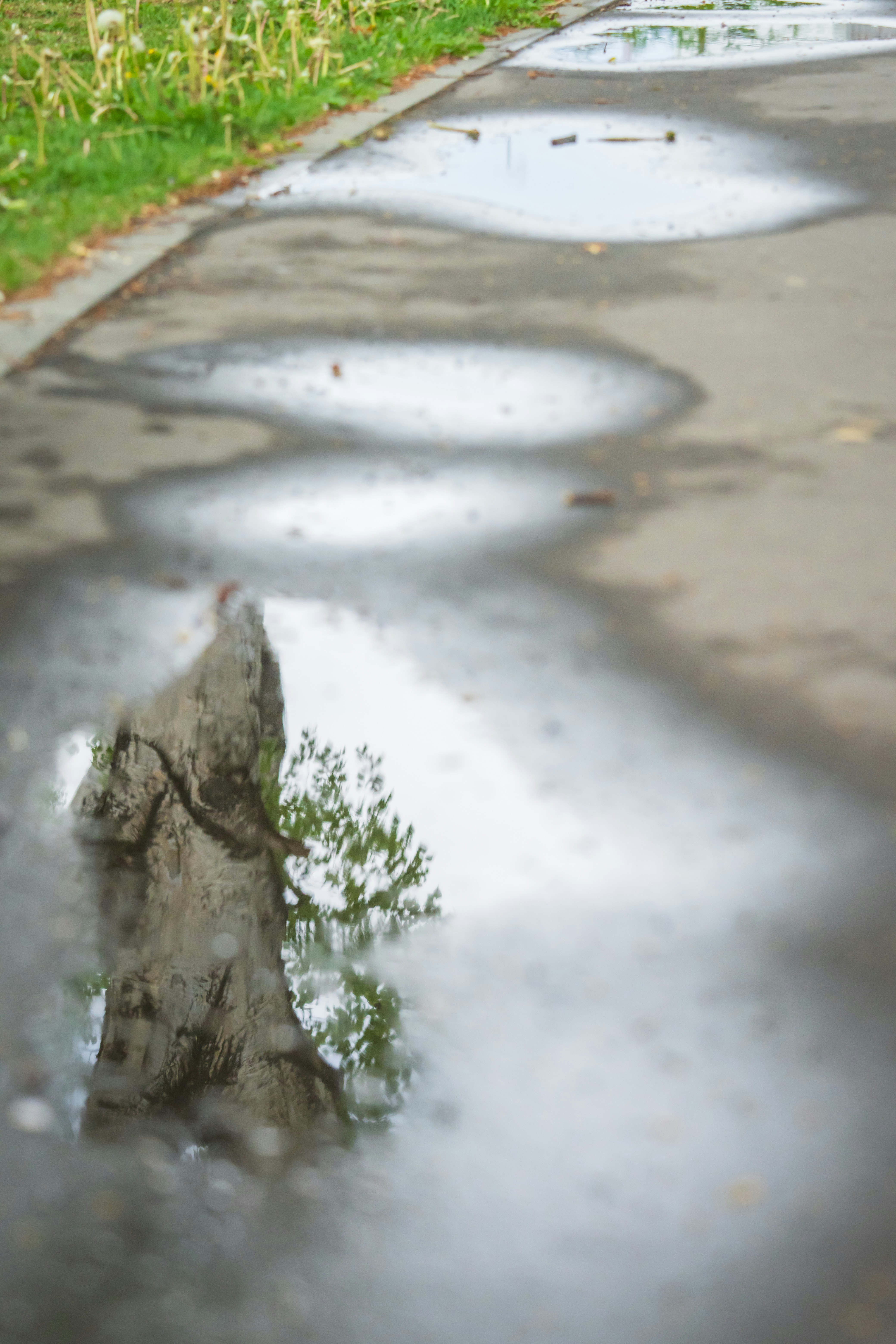 草地の横を流れる雨水のある舗装路の水たまり「画像」