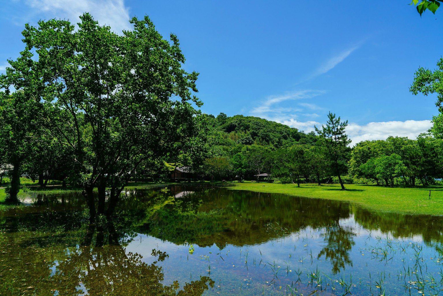 Vista escénica de un estanque que refleja árboles verdes y cielo azul