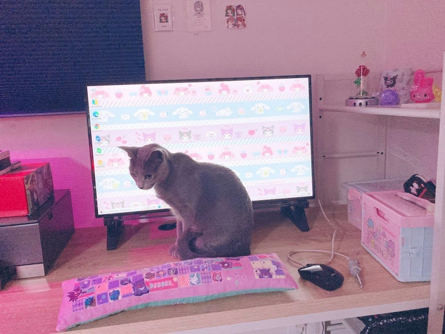 책상 위에 있는 텔레비전 위에 앉아 있는 고양이