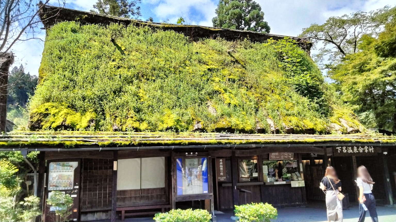 被绿色苔藓覆盖的传统日本建筑与蓝天