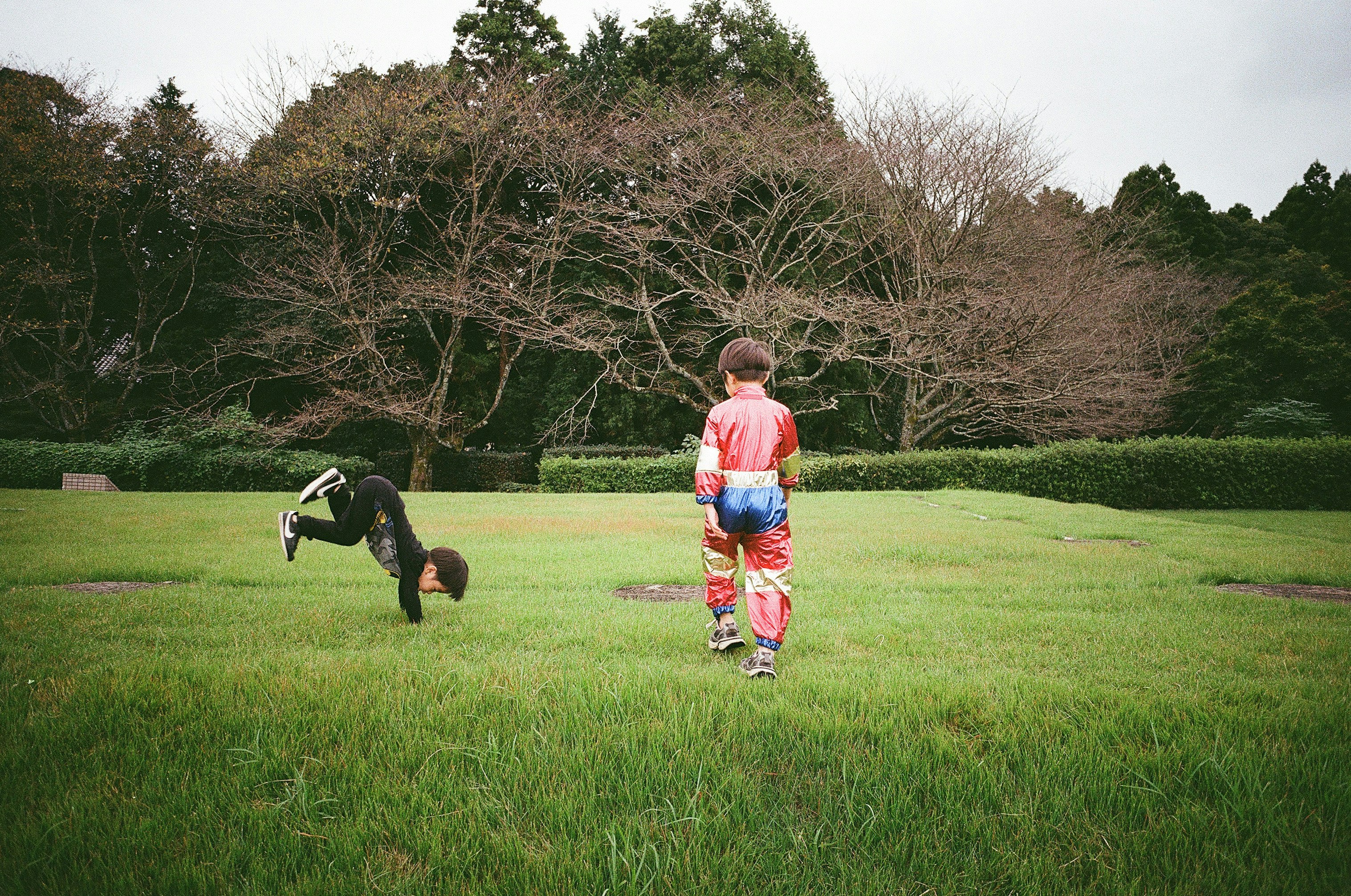 芝生の公園で走る子どもと犬