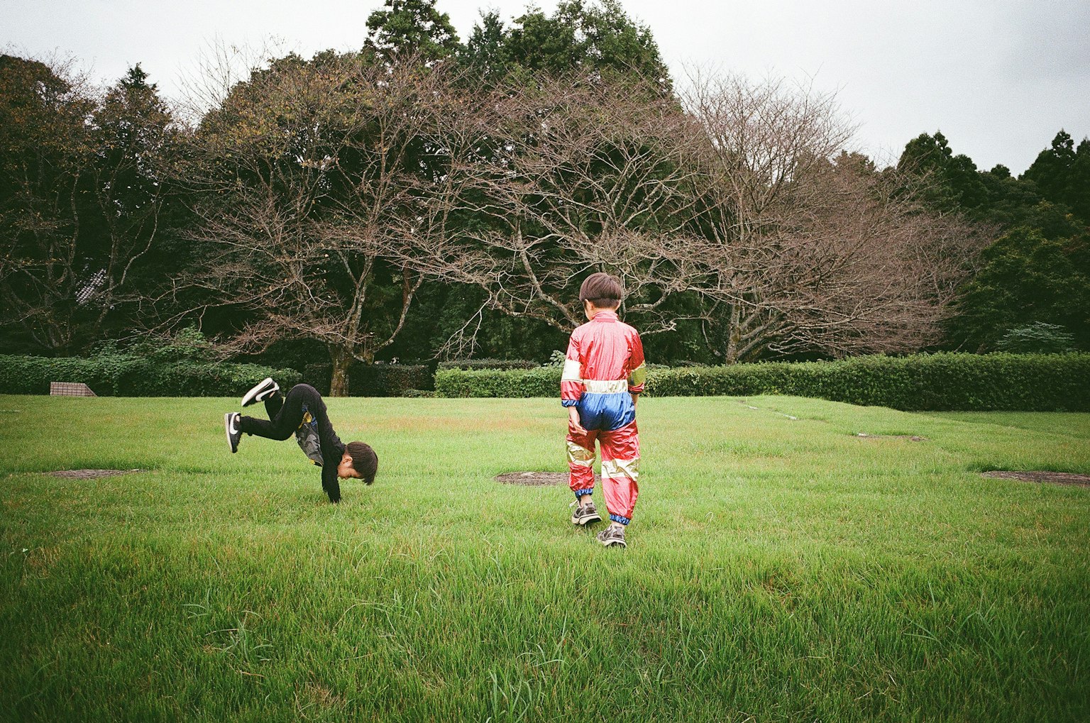公園で遊ぶ子供たちの写真 一人は逆立ちをしていてもう一人は後ろを向いている 背景には大きな木がある