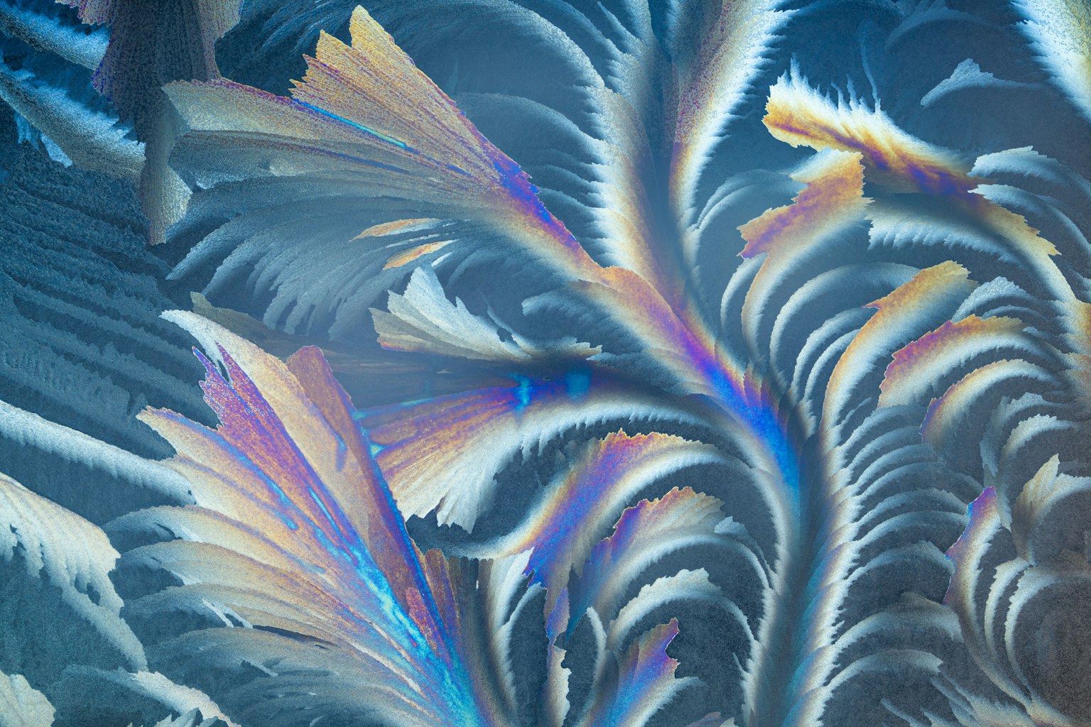 Abstraktes Design mit lebhaften federähnlichen Mustern auf blauem Hintergrund