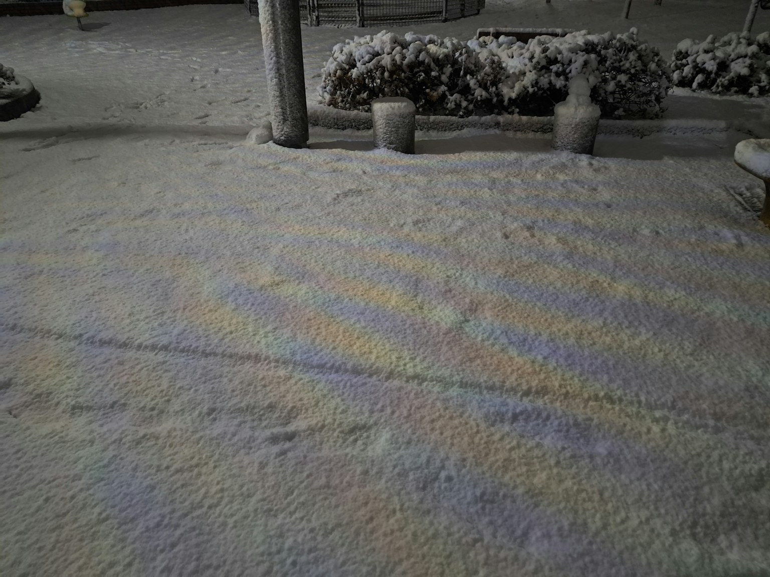 Motivi colorati sul terreno coperto di neve con piante sullo sfondo