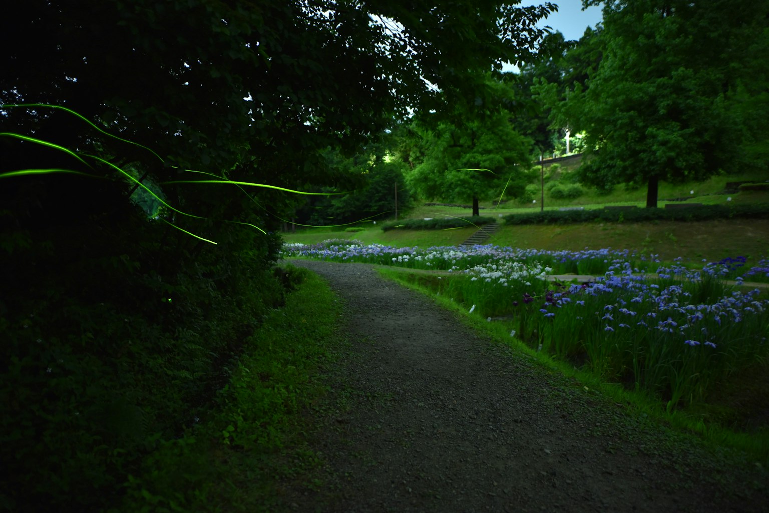 Weg in einem Park bei Dämmerung mit blauen Blumen