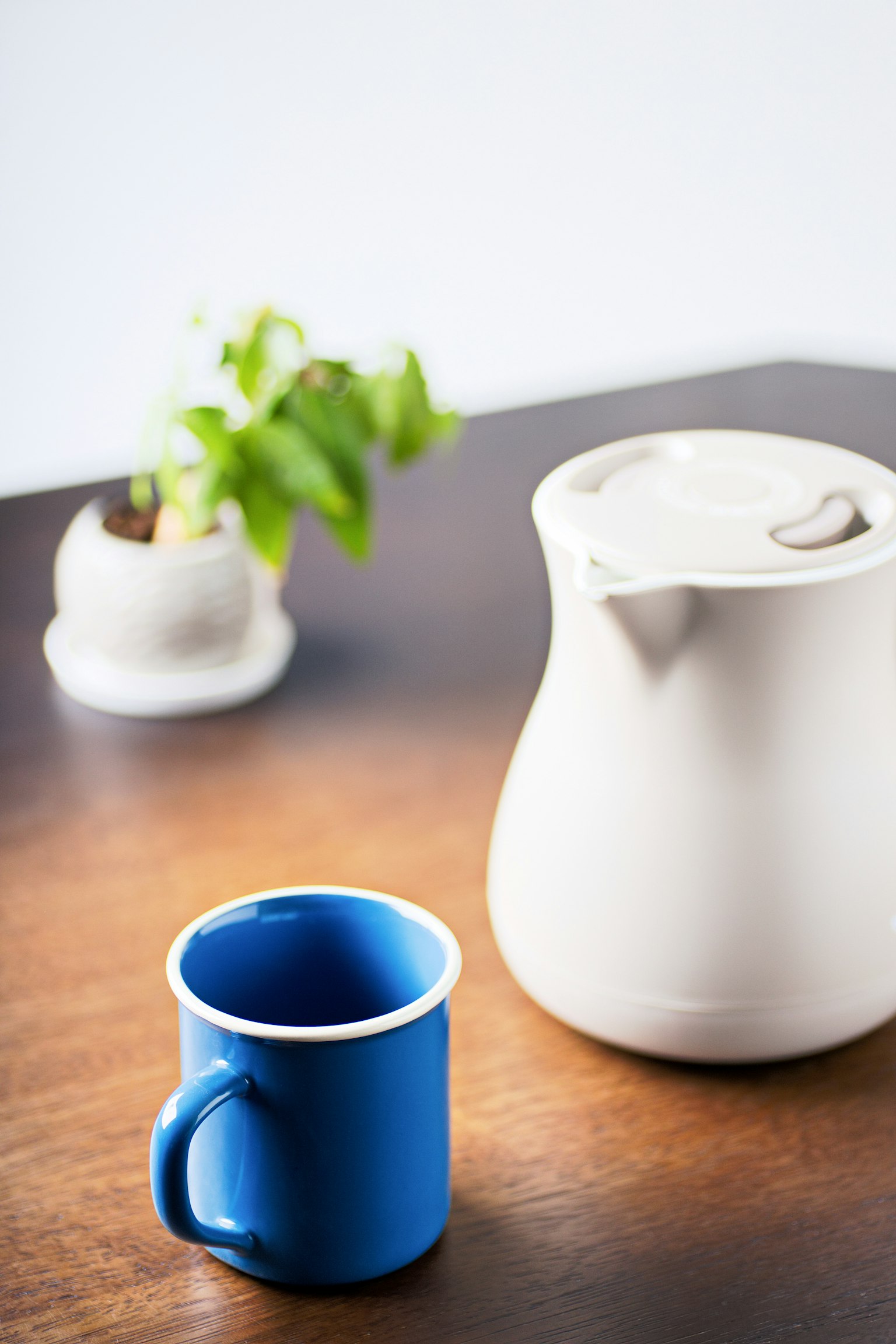 Cangkir biru dan pitcher putih diletakkan di atas meja kayu dengan tanaman di latar belakang
