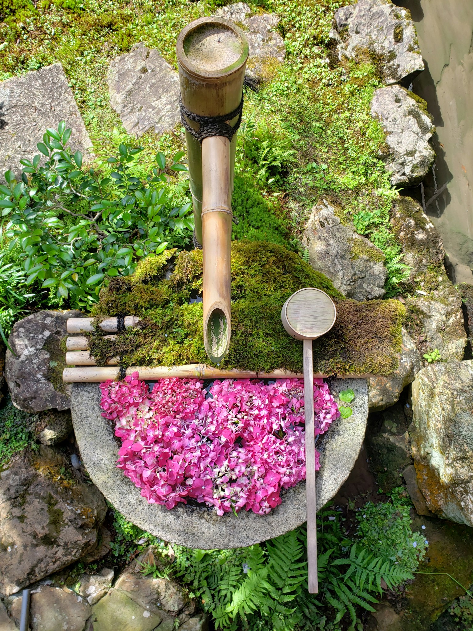 Décoration de jardin simple avec des pétales colorés disposés sur une plaque en pierre entourée de plantes vertes