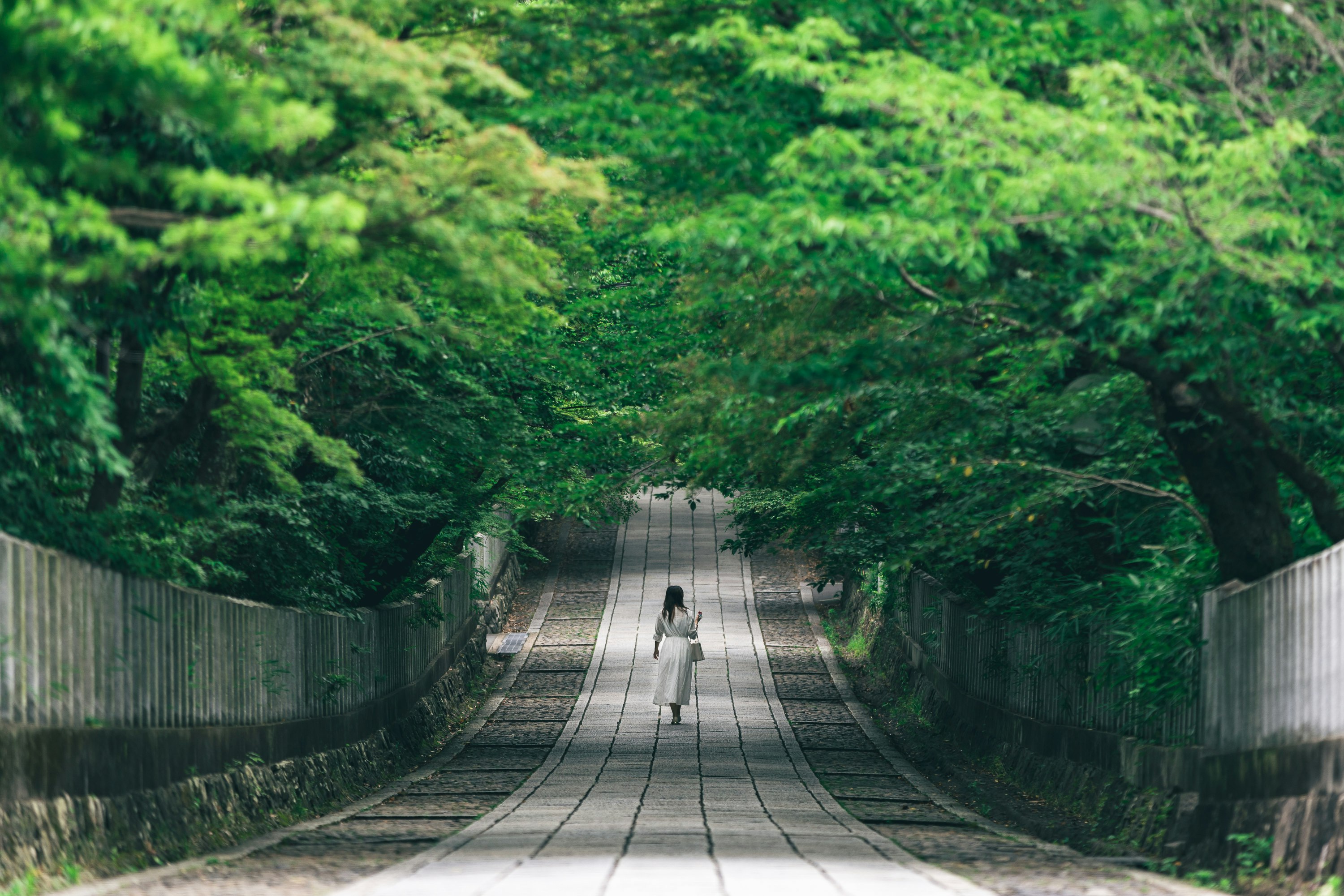 緑の並木道を歩く人々のある石畳の小径