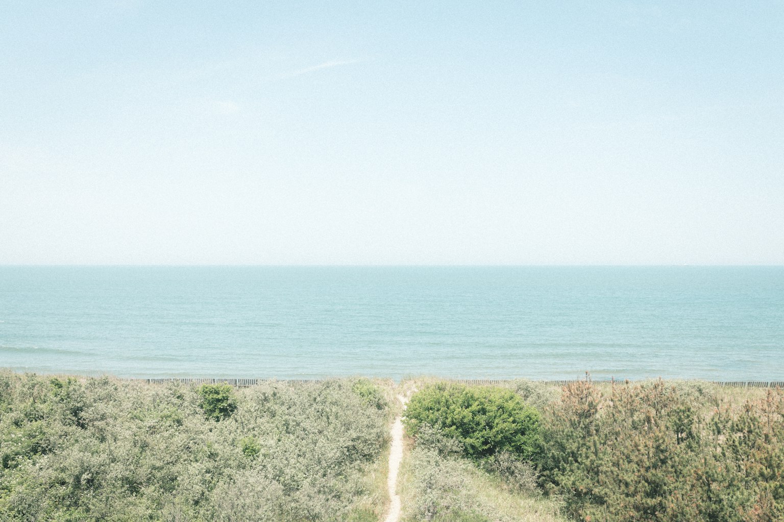 藍色海洋和綠地的寧靜景觀，有一條通向水的路徑