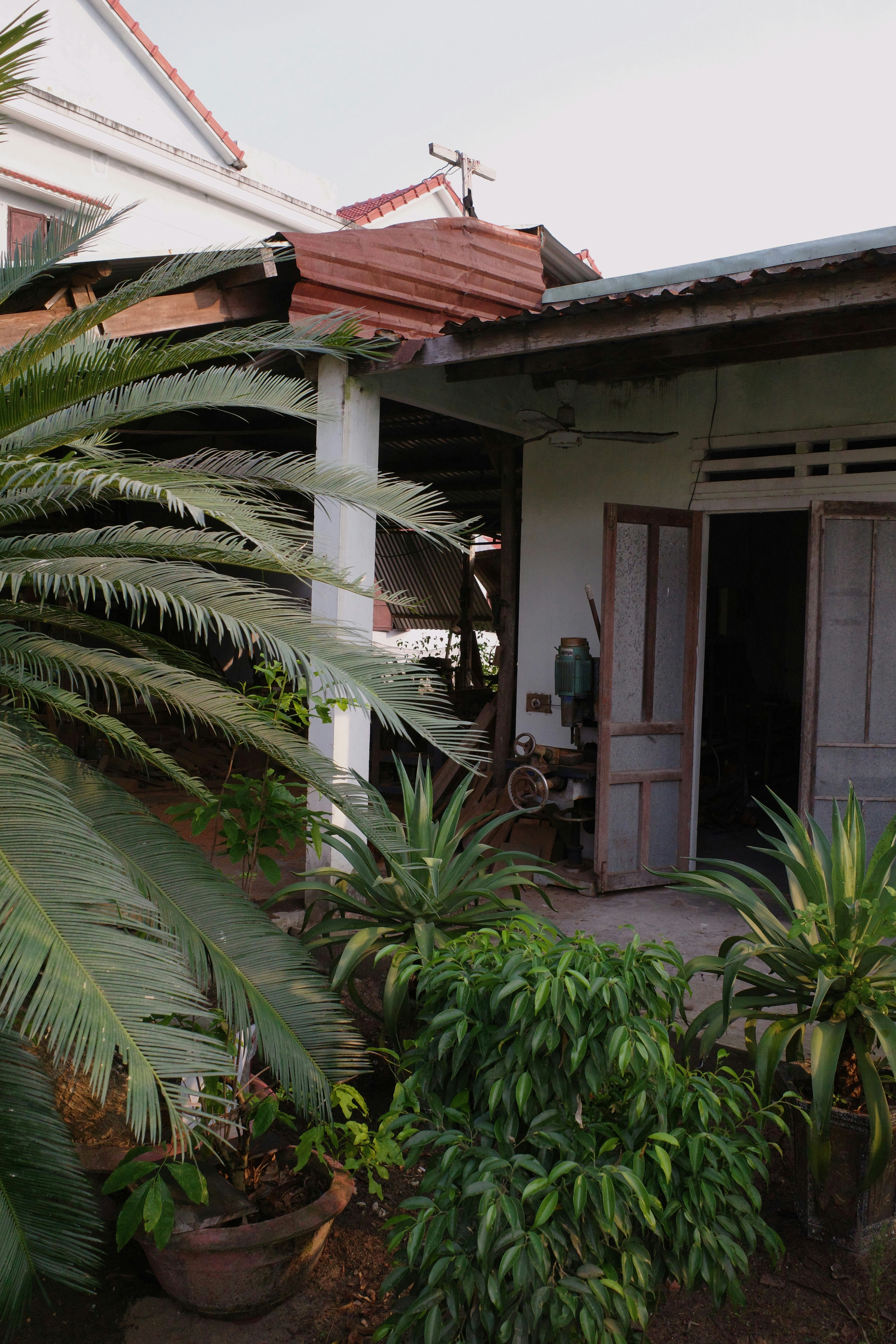 patio tropical con alero de casa y plantas en macetas