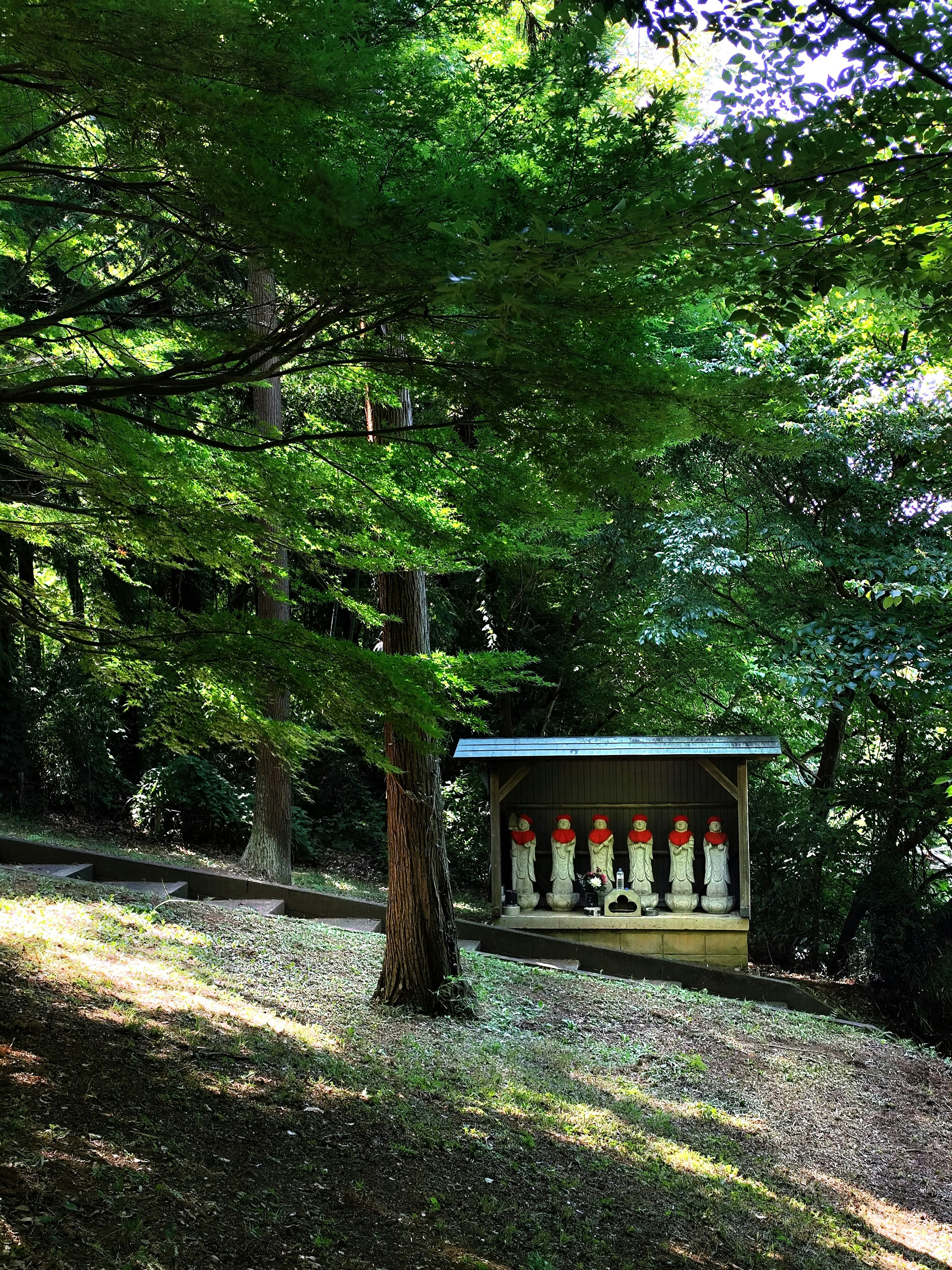 六地蔵の石仏が並ぶ木陰の小さな祠