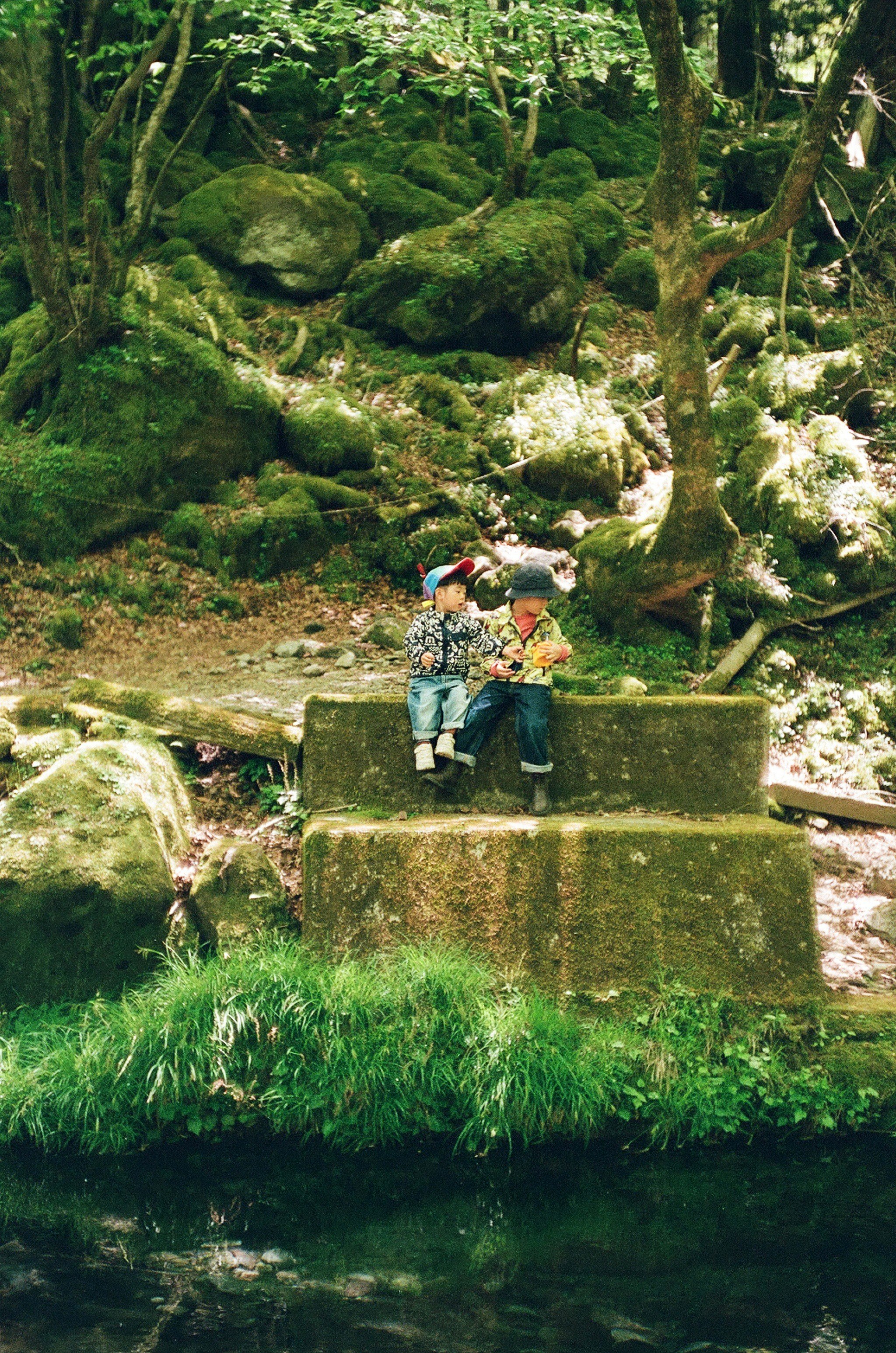 hiker sitting on a mossy forest bench along a trail