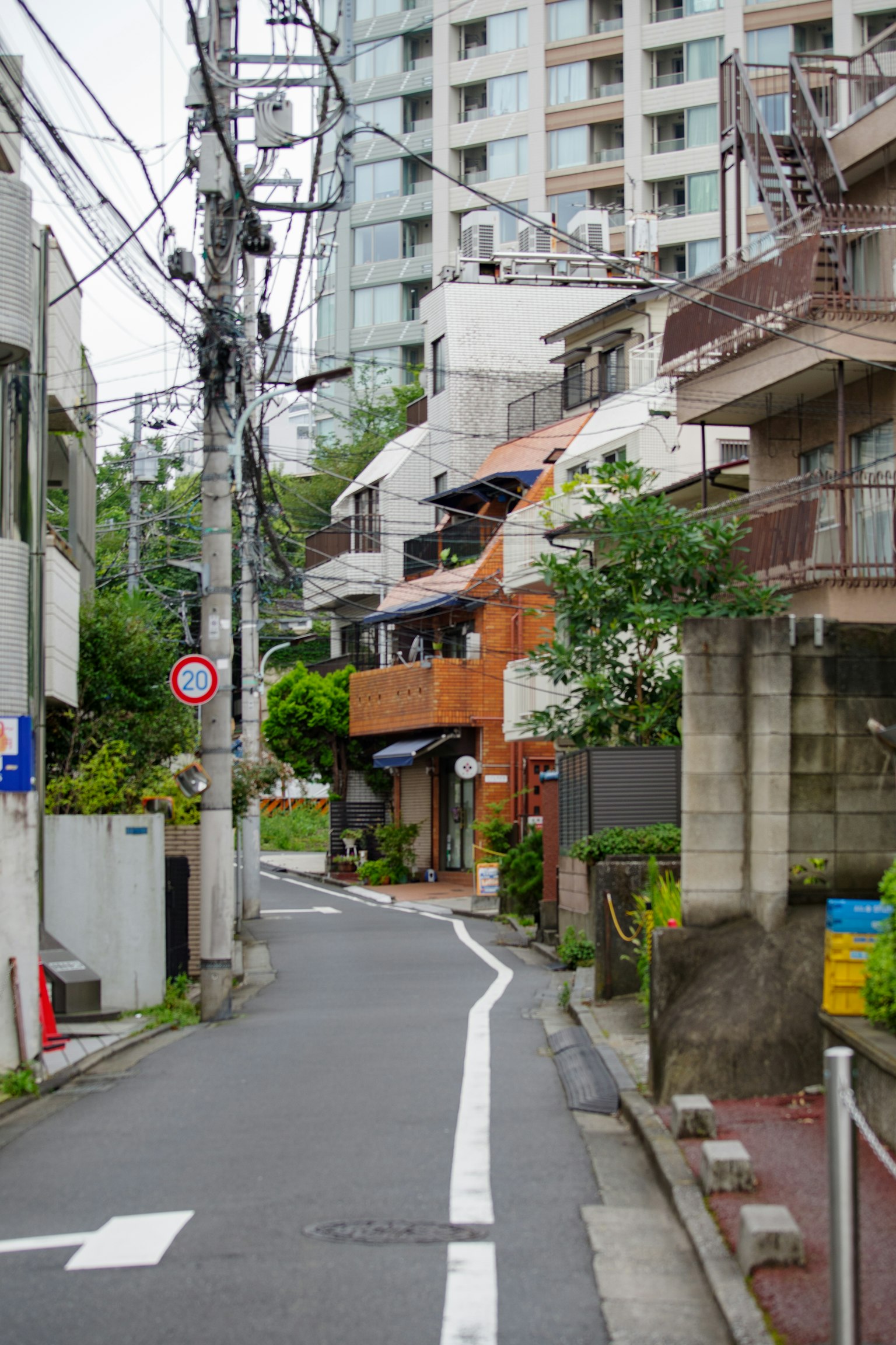 Contraste entre des bâtiments résidentiels et des appartements en hauteur le long d'une rue verte