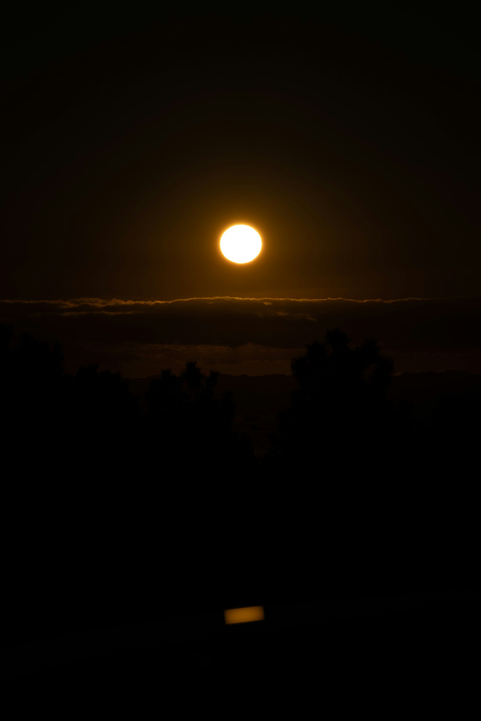 Bright moon in the night sky with silhouetted trees