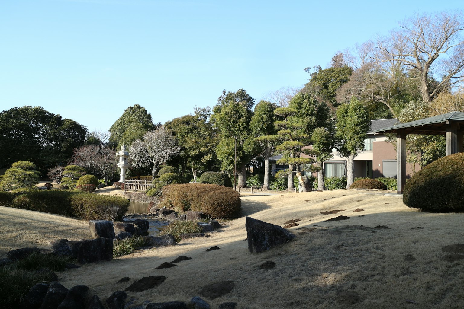 寧靜的日本庭園景觀，綠樹成蔭，石頭排列整齊
