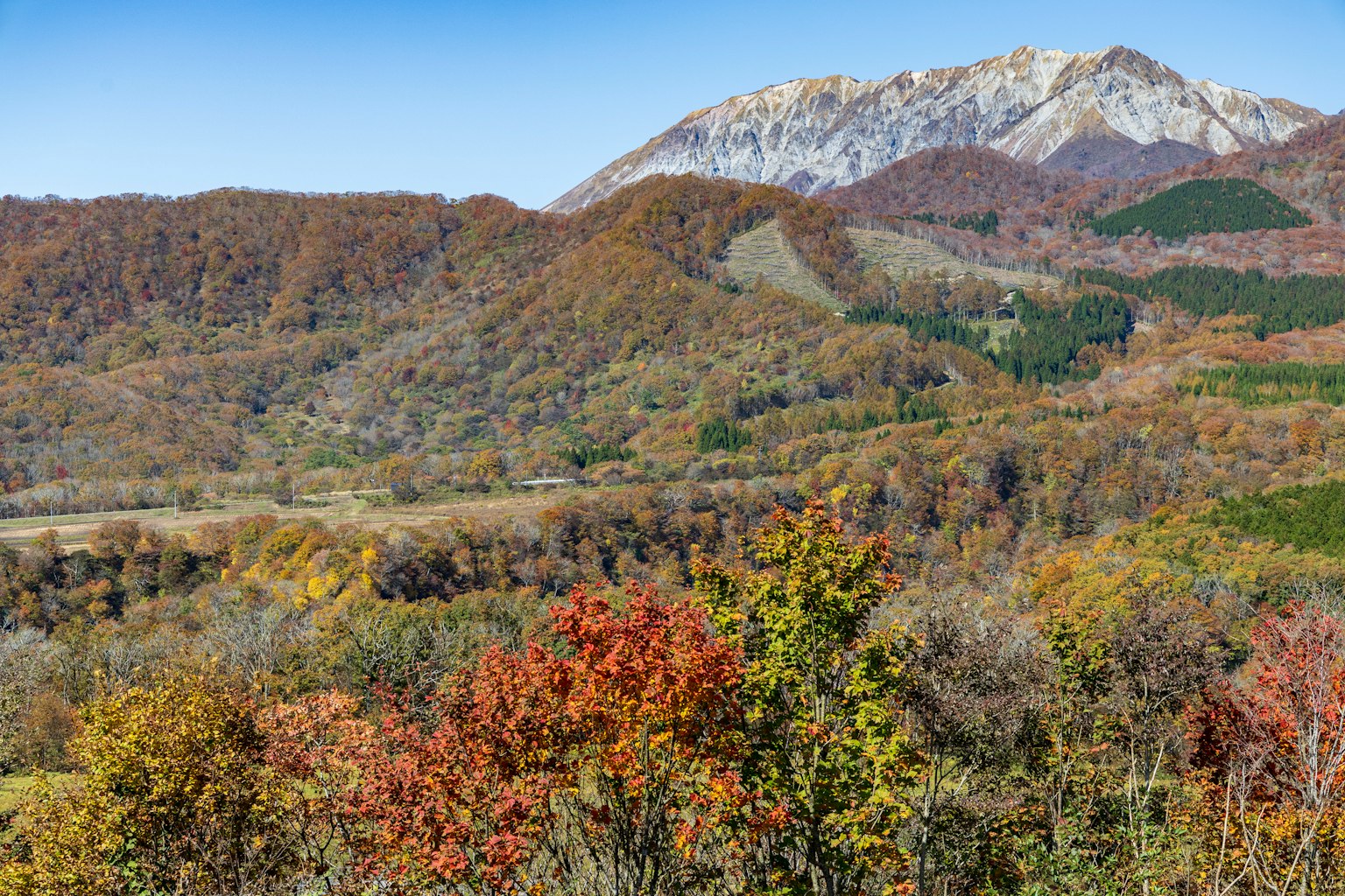 Paysage d'automne magnifique avec des arbres colorés et des montagnes