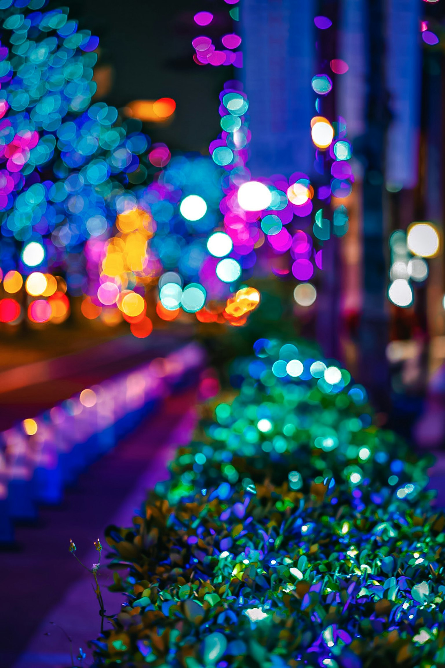 夜晚城市景观中照亮绿植的鲜艳蓝紫灯光