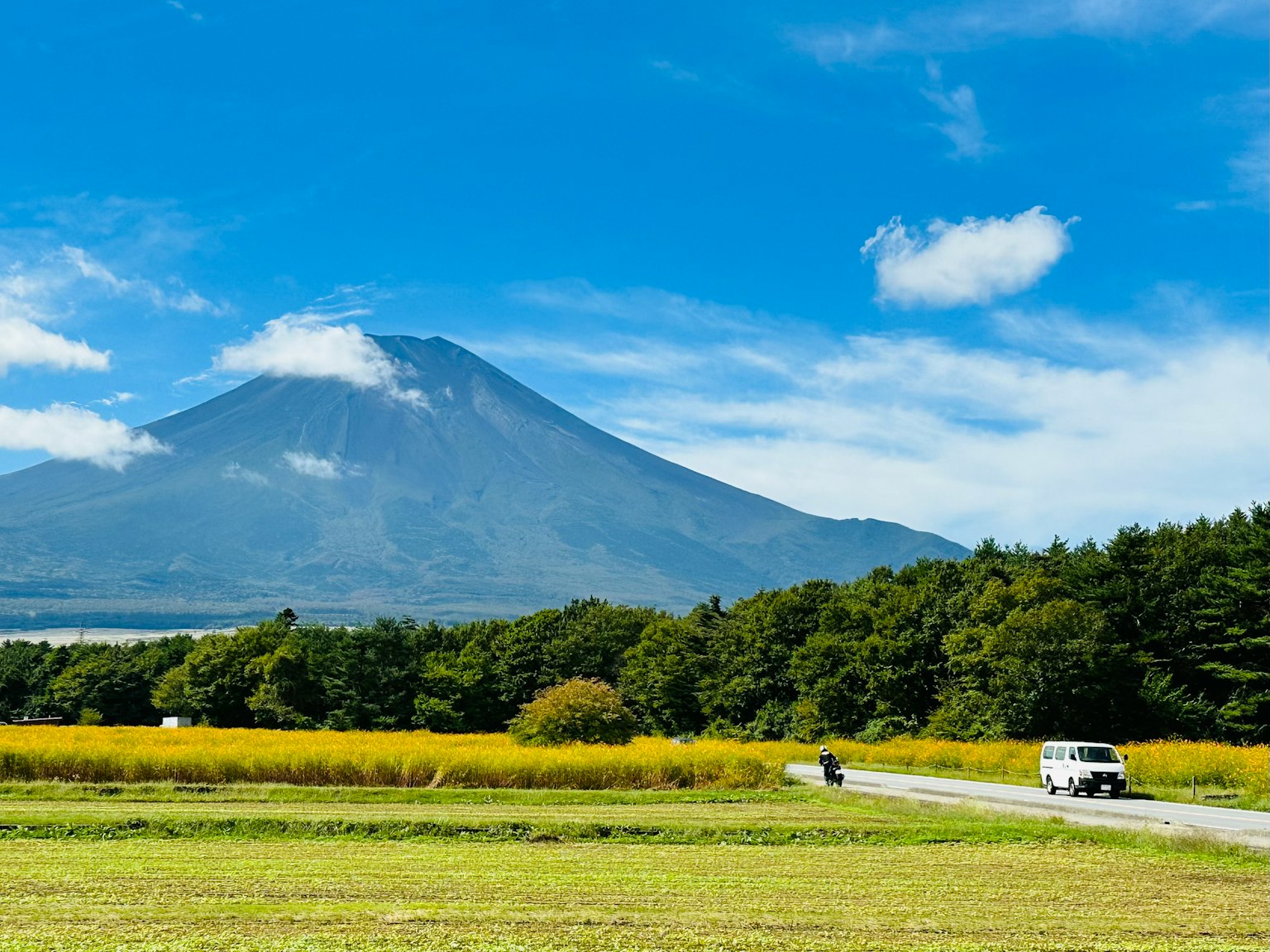 富士山與晴朗的藍天綠色樹木和沿路的黃色花田
