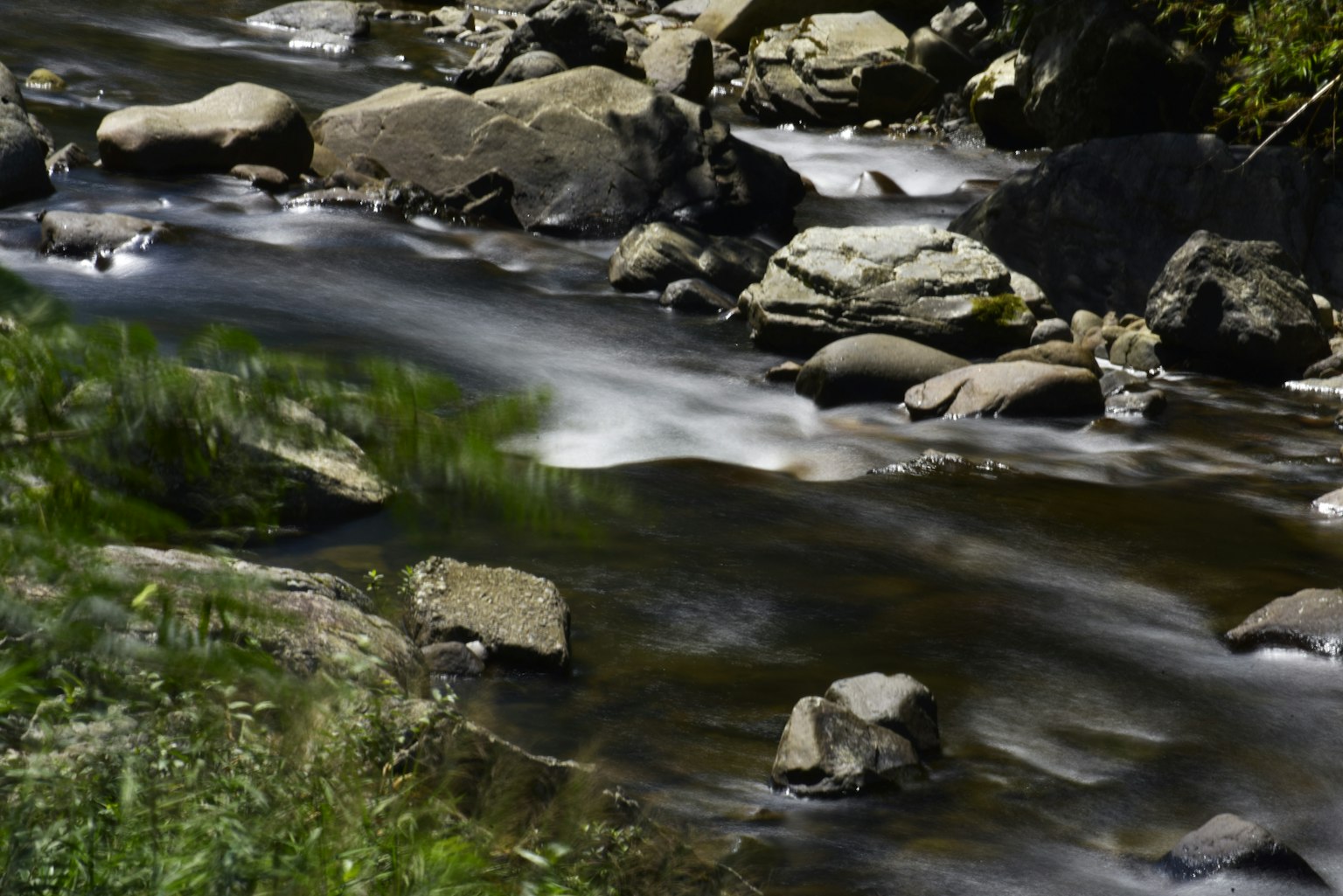 Rivière coulante avec des rochers dans un cadre naturel