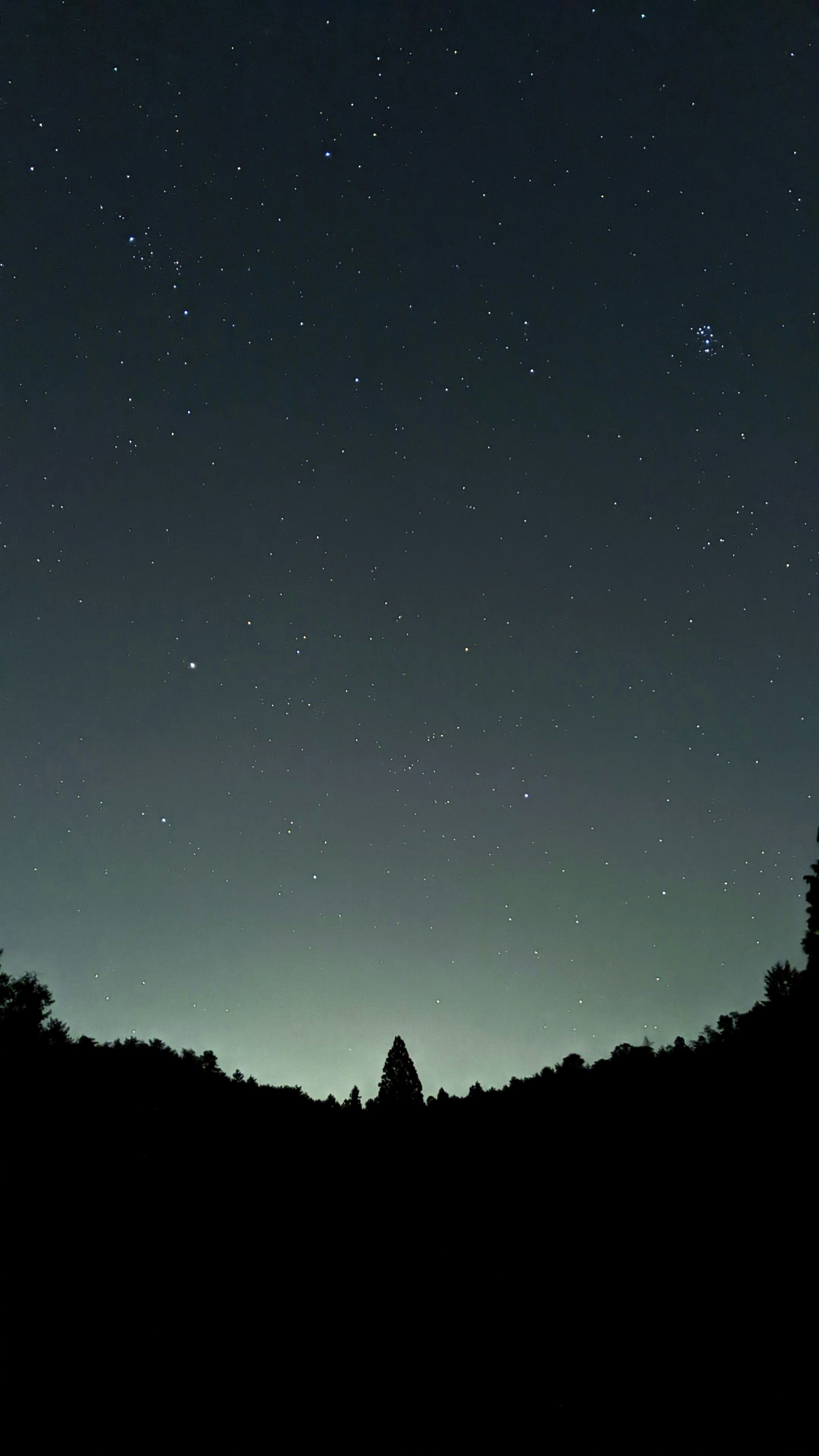 cielo nocturno estrellado sobre una silueta de bosque oscuro