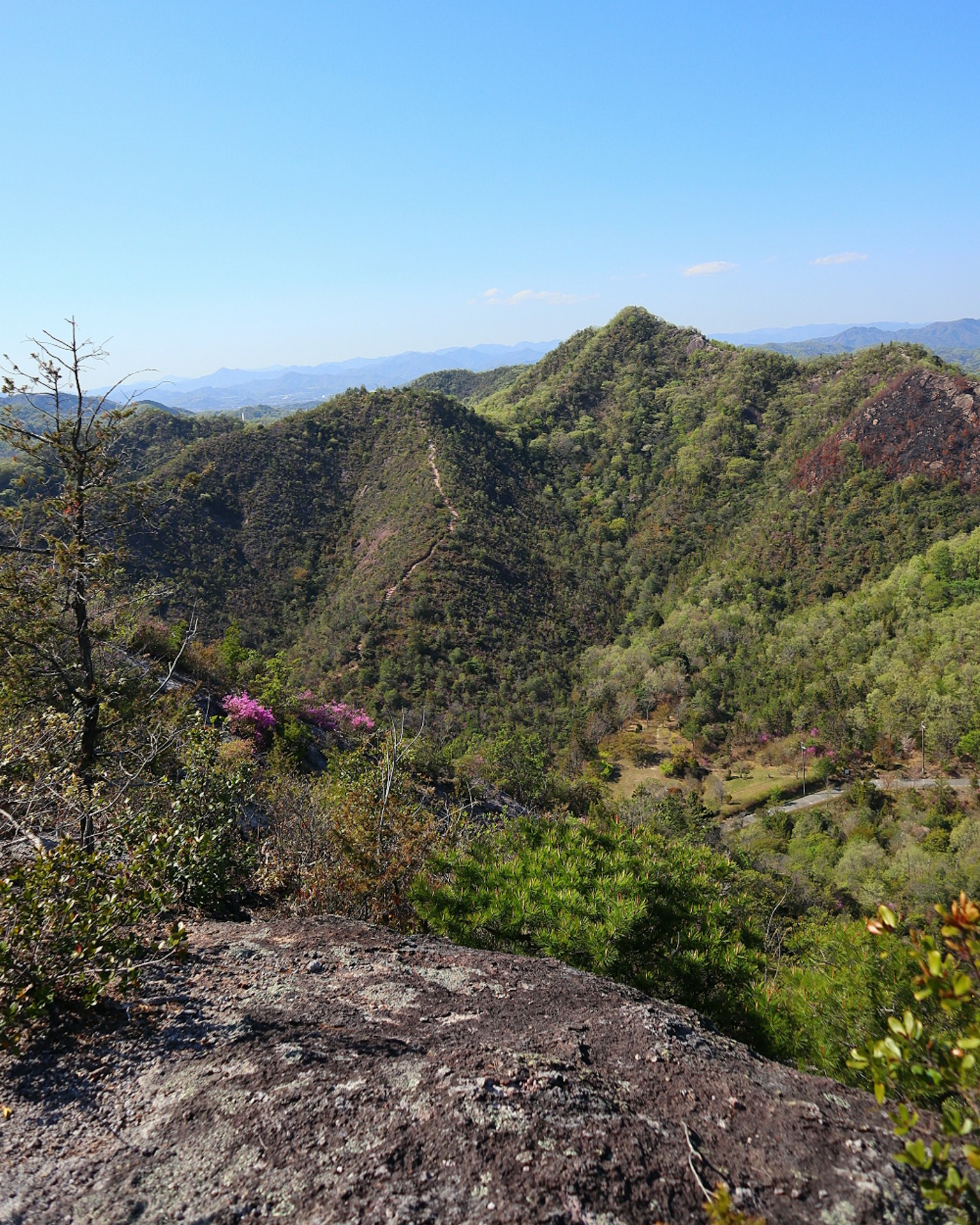 Beautiful landscape of lush green mountains under a blue sky