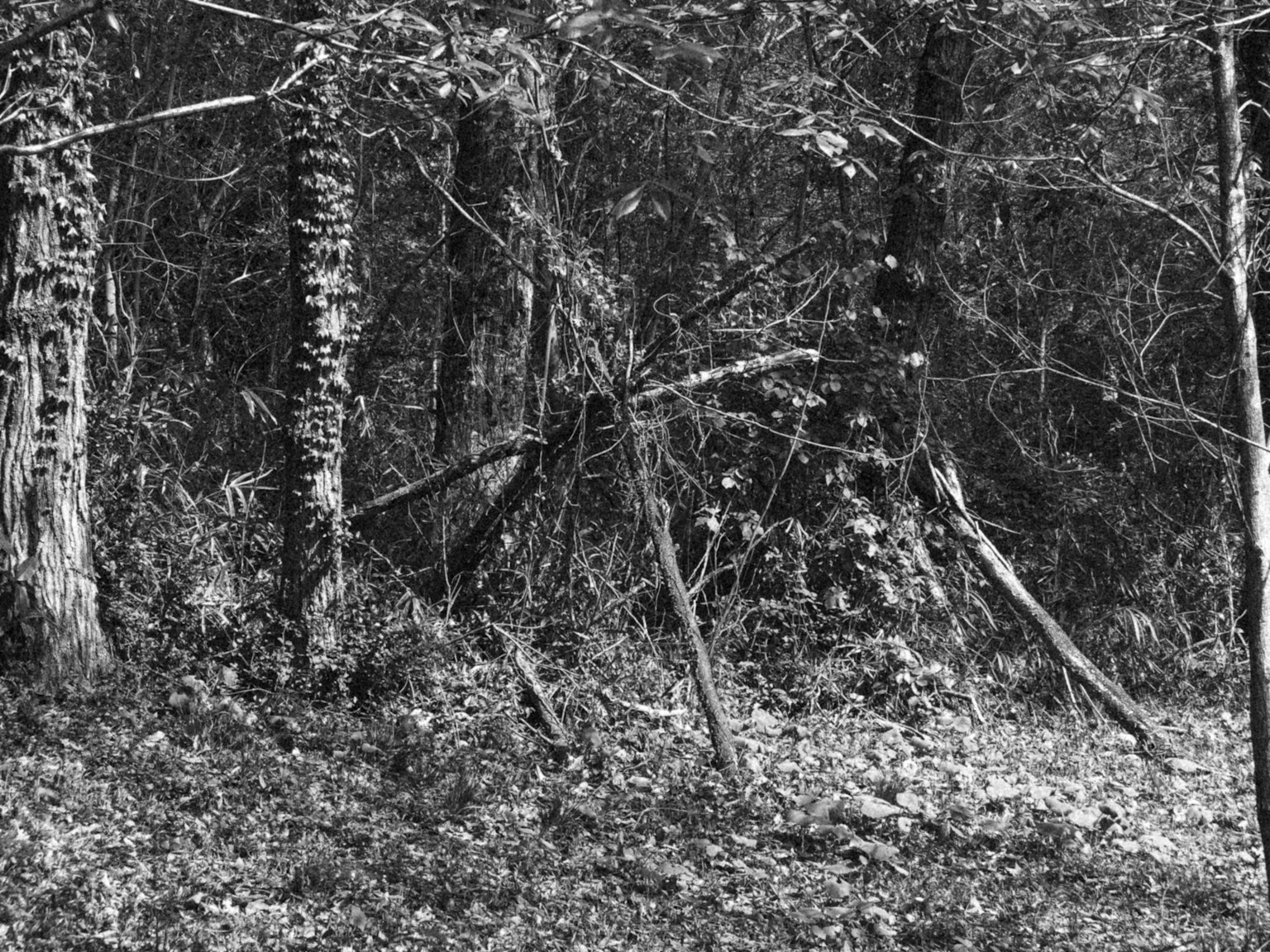 photo-c5hWxbzvQ0Ek1Ir98OW0-image