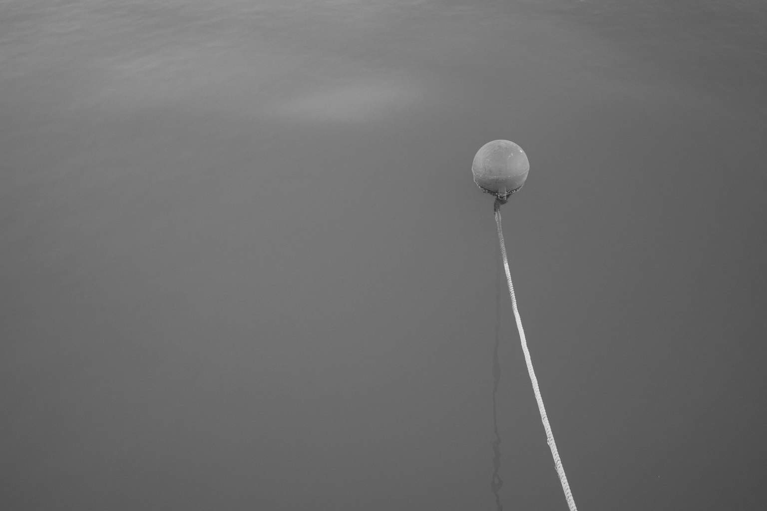 Une image simple en noir et blanc d'un ballon suspendu à une fine ficelle