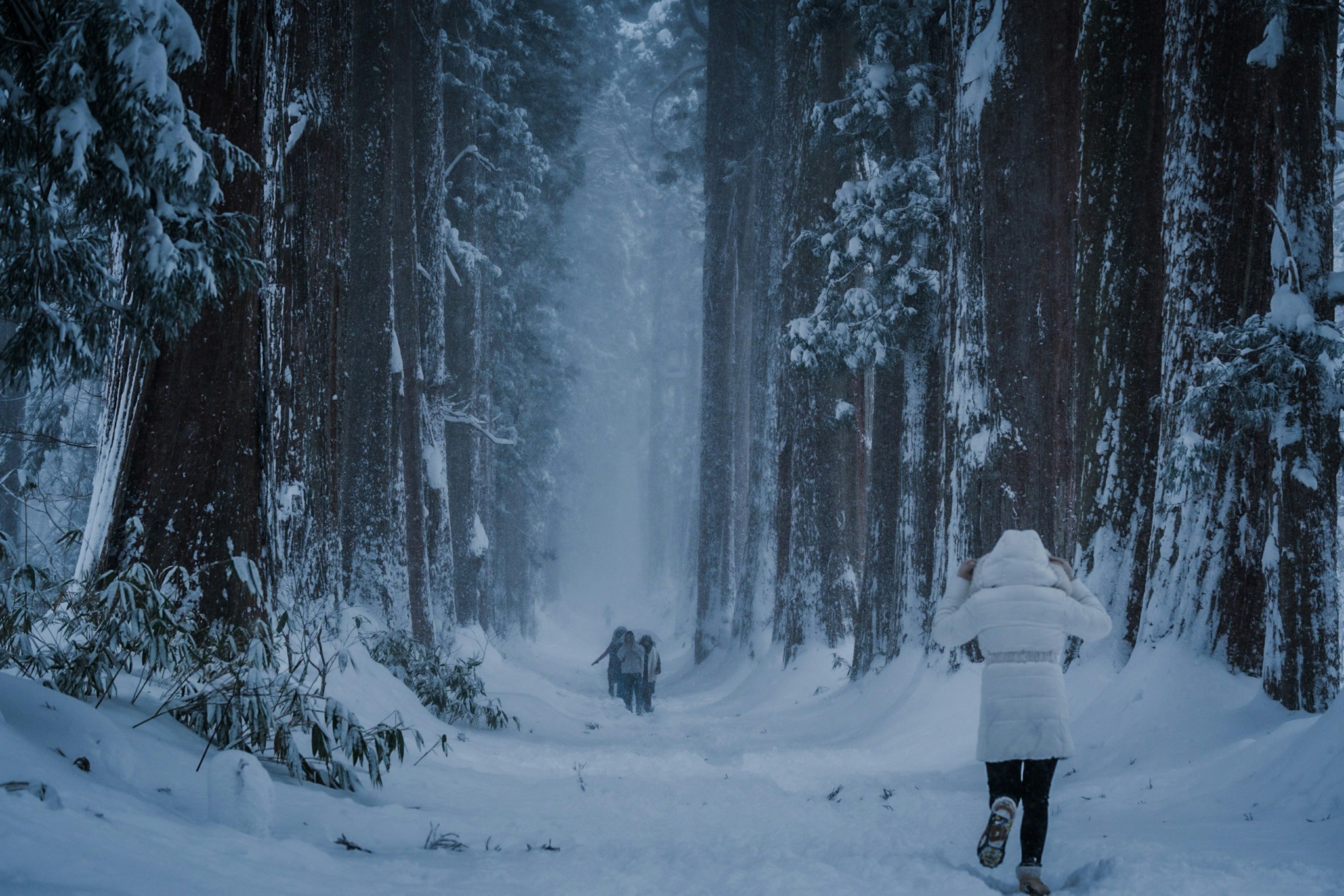 雪に覆われた森の中を歩く人々と雪の降る静かな風景