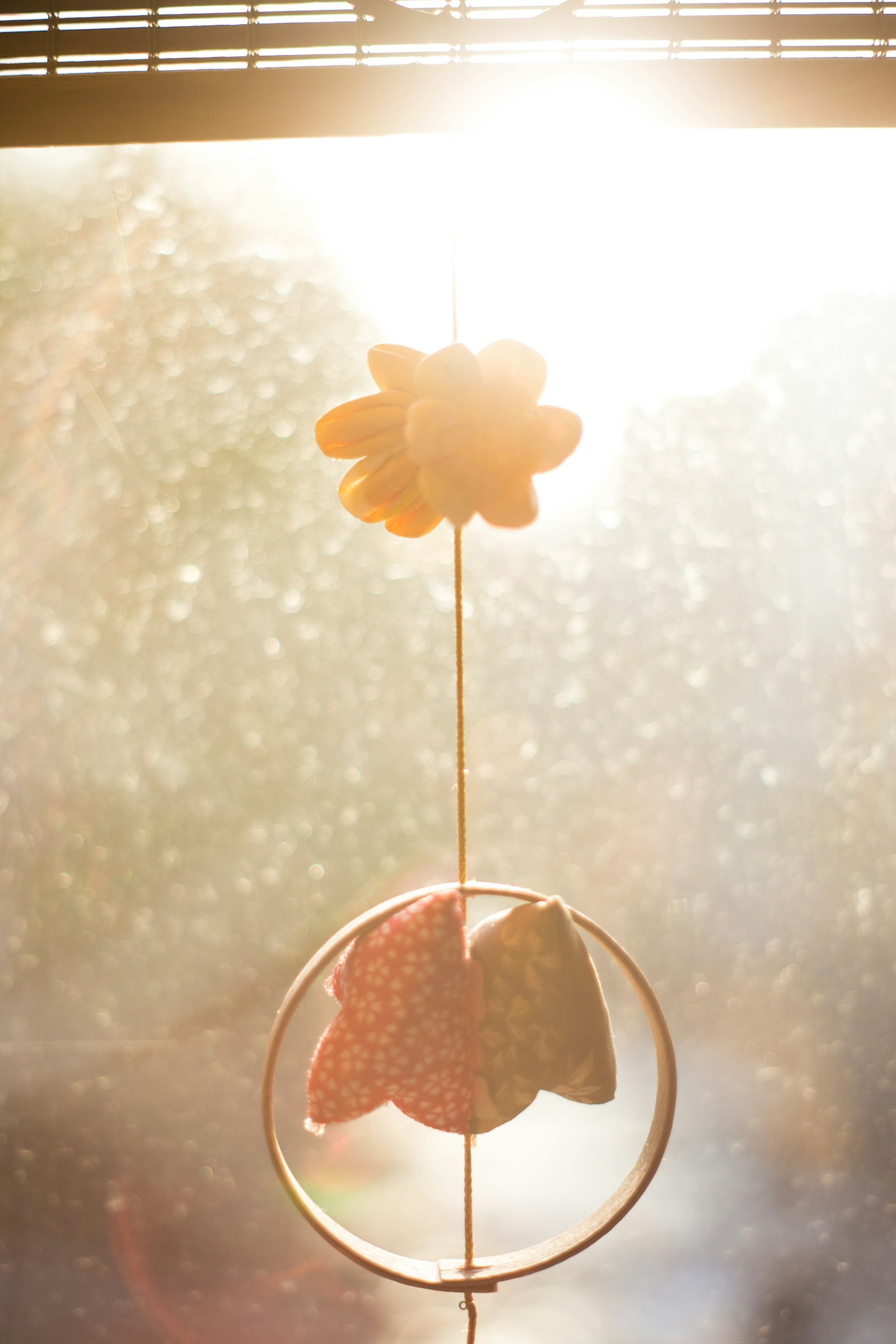 Sunlit flower mobile hanging by a window
