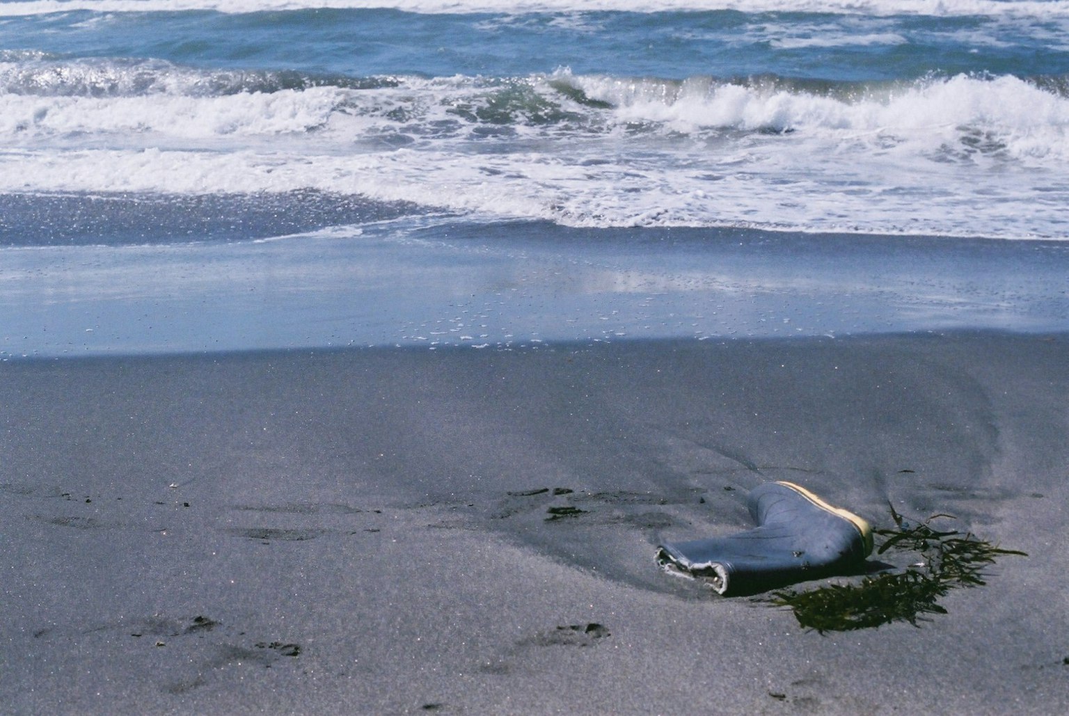 Legno alla deriva sulla spiaggia con onde sullo sfondo