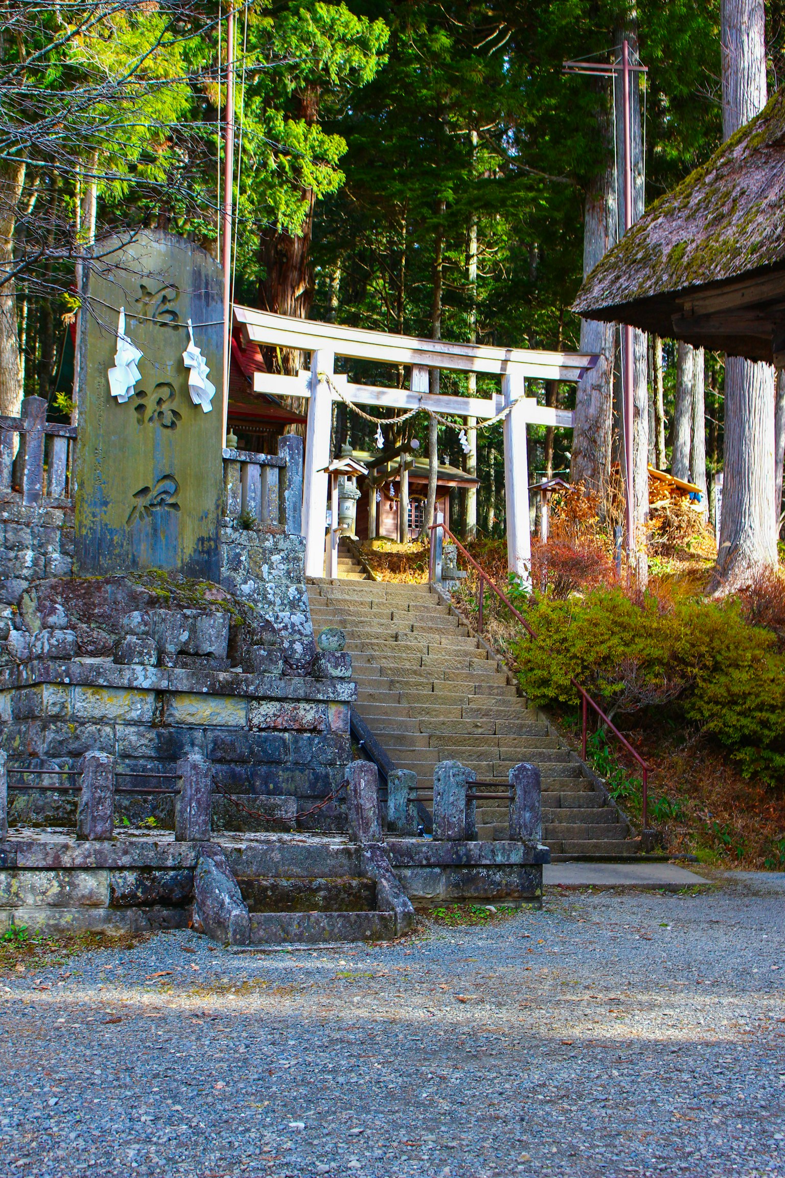 神社の階段と鳥居が見える緑豊かな風景