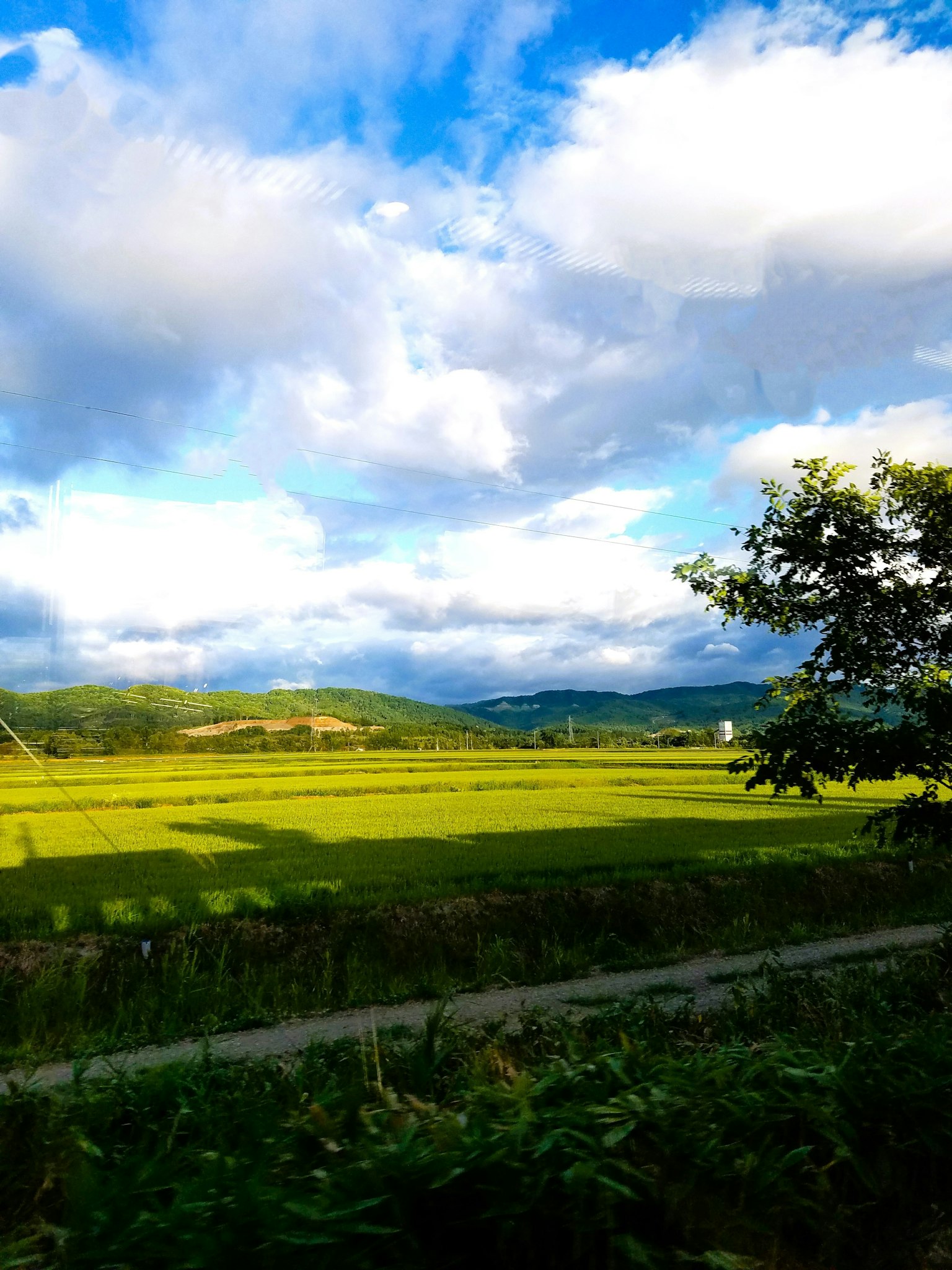 Pemandangan sawah hijau dikelilingi langit biru dan awan putih