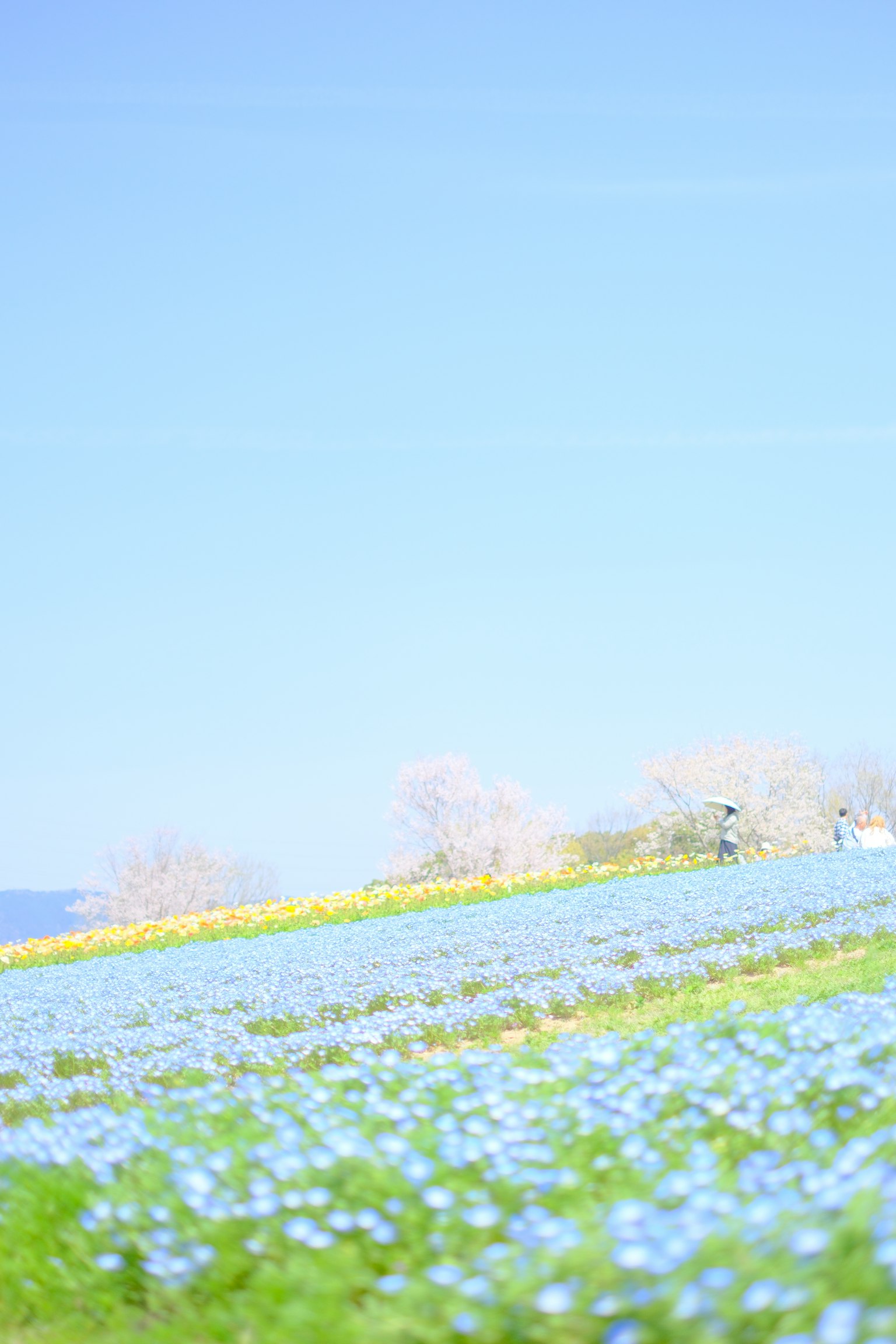photo-c850WccFQxqKSprMA0U3-image